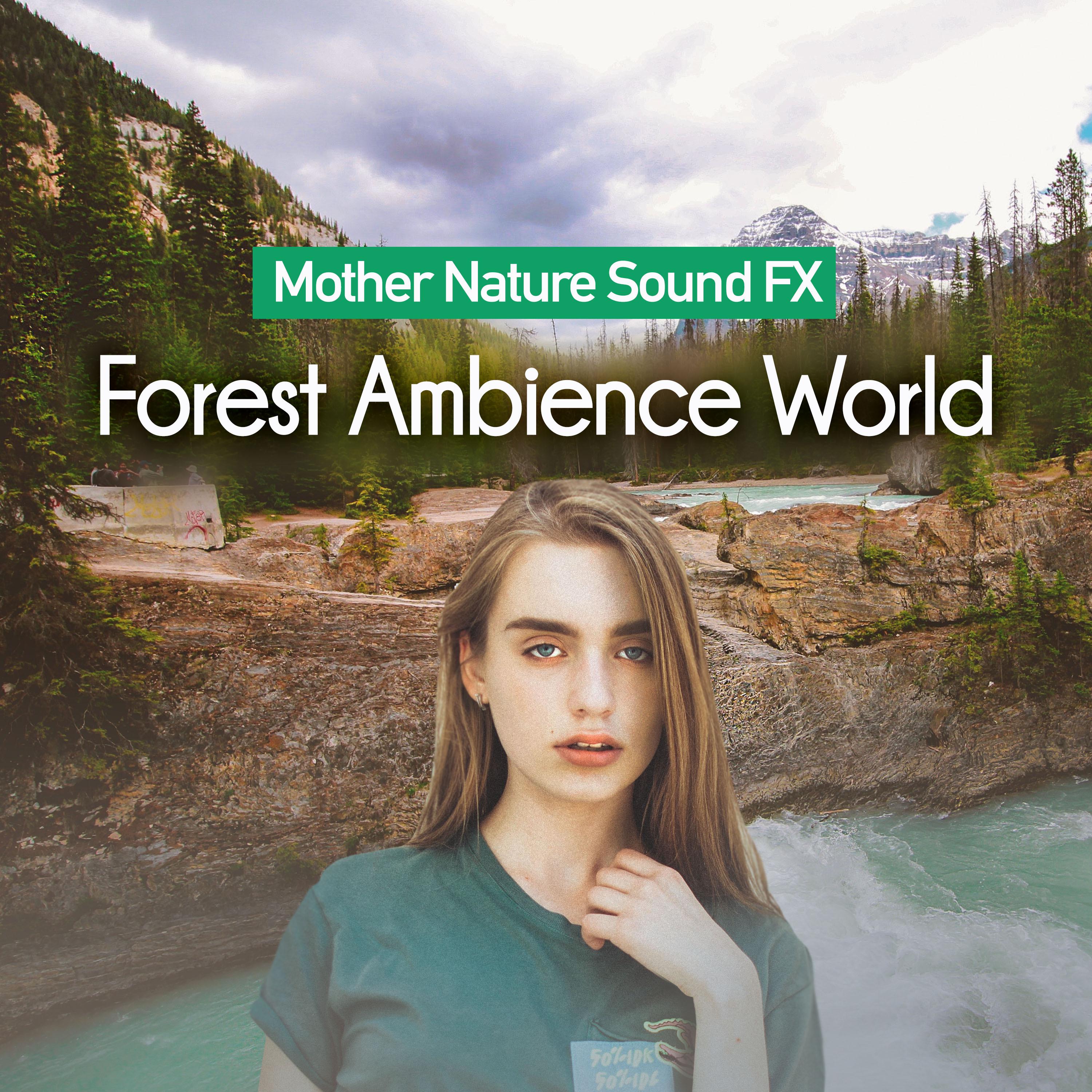 Forest Ambience World