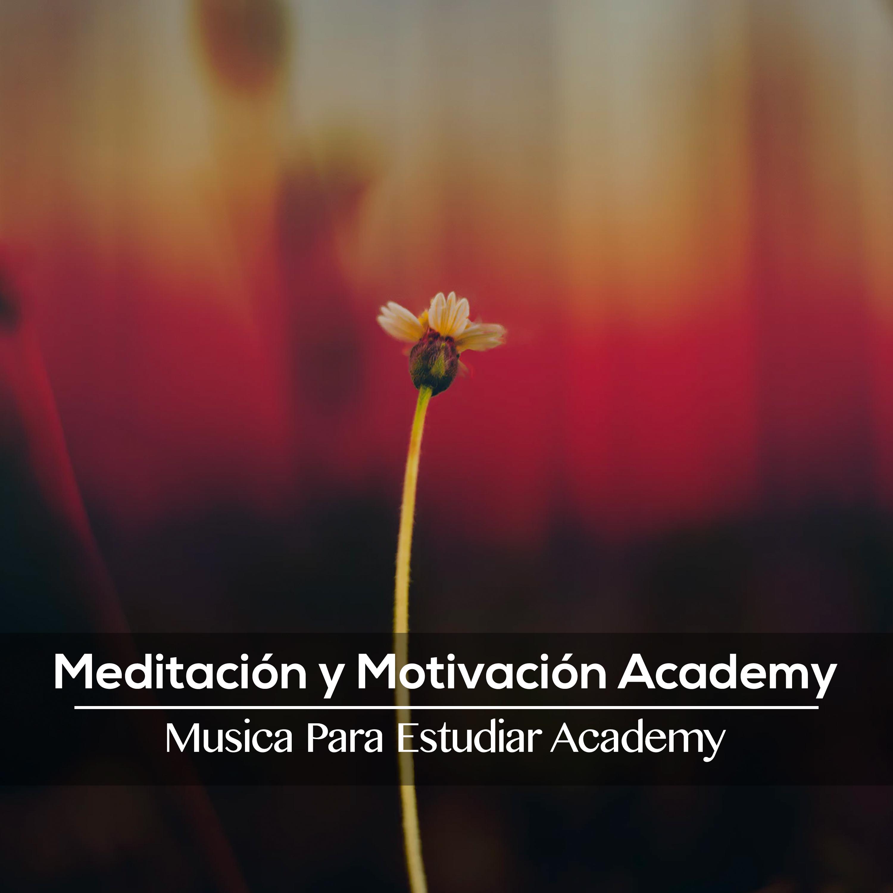 Meditacio n y Motivacio n Academy