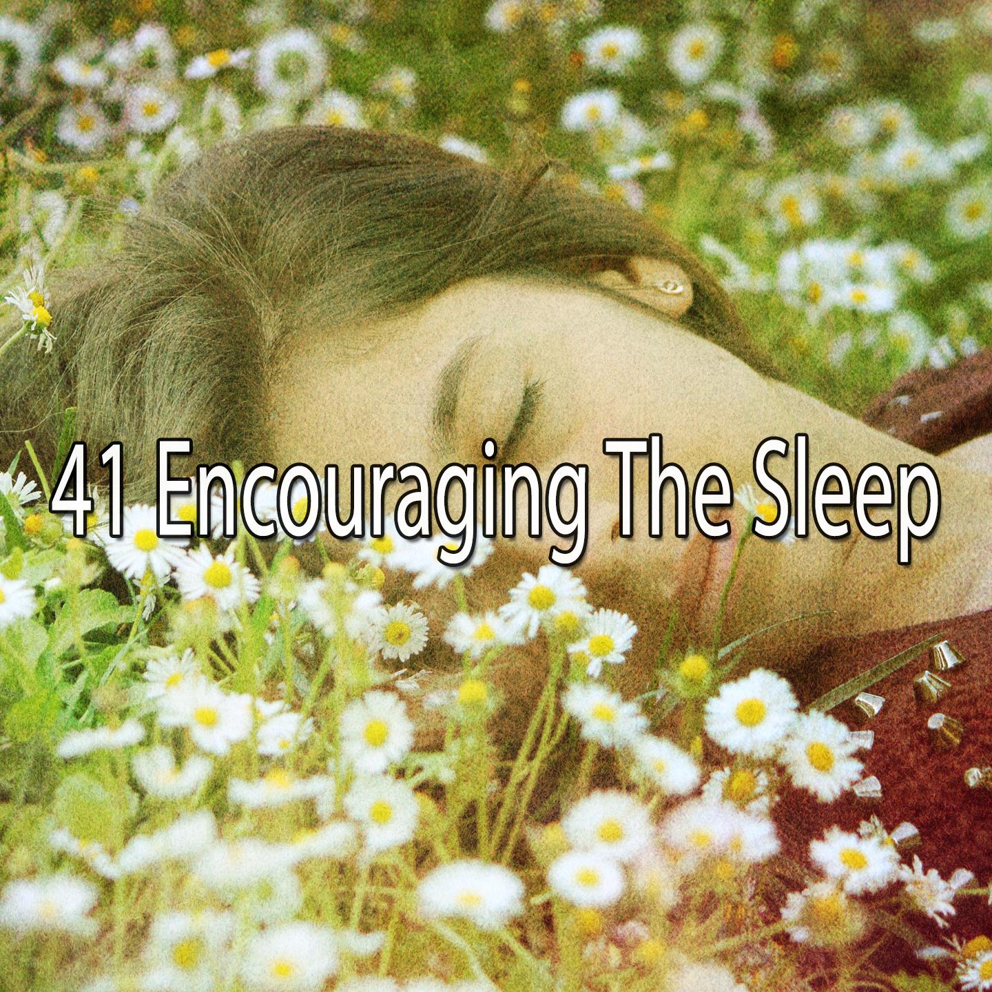 41 Encouraging the Sleep