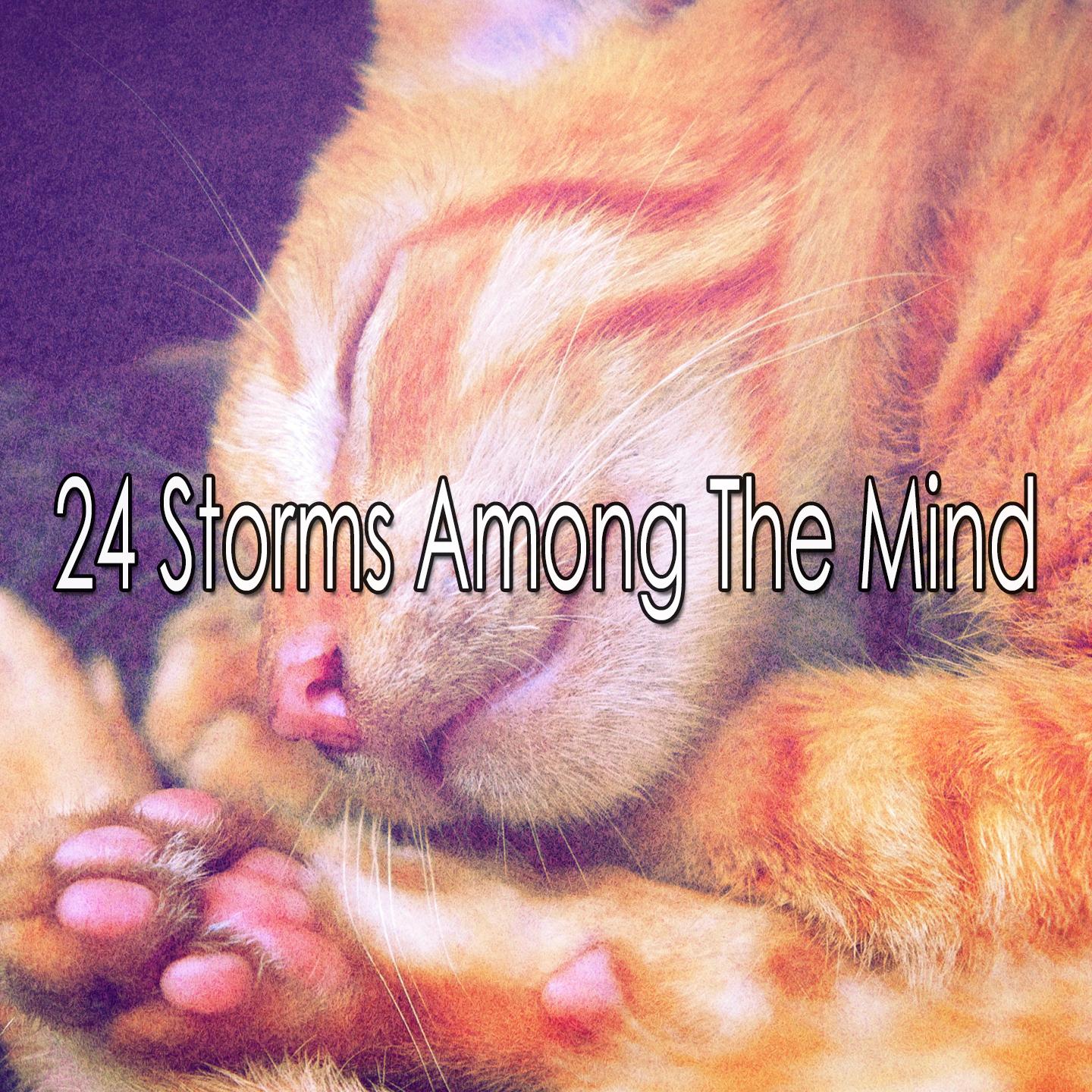 24 Storms Among the Mind
