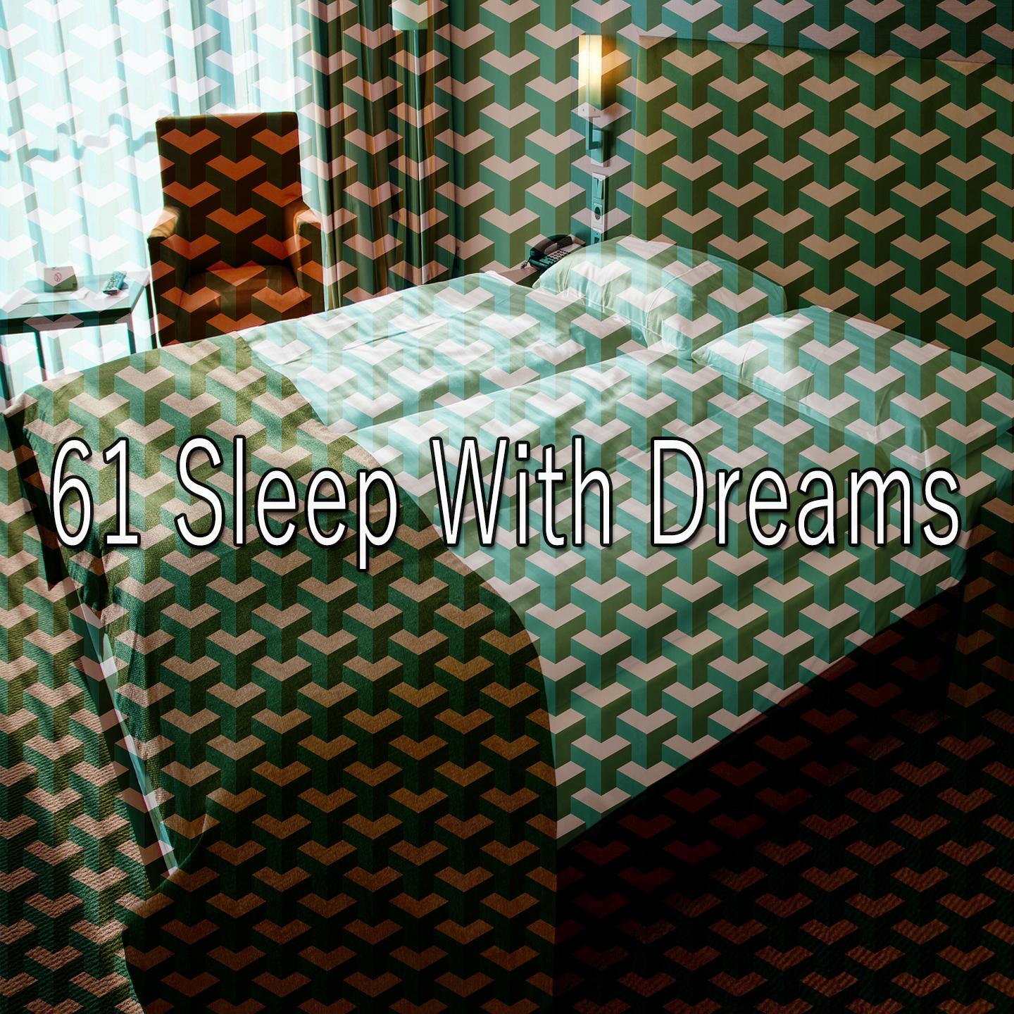 61 Sleep with Dreams