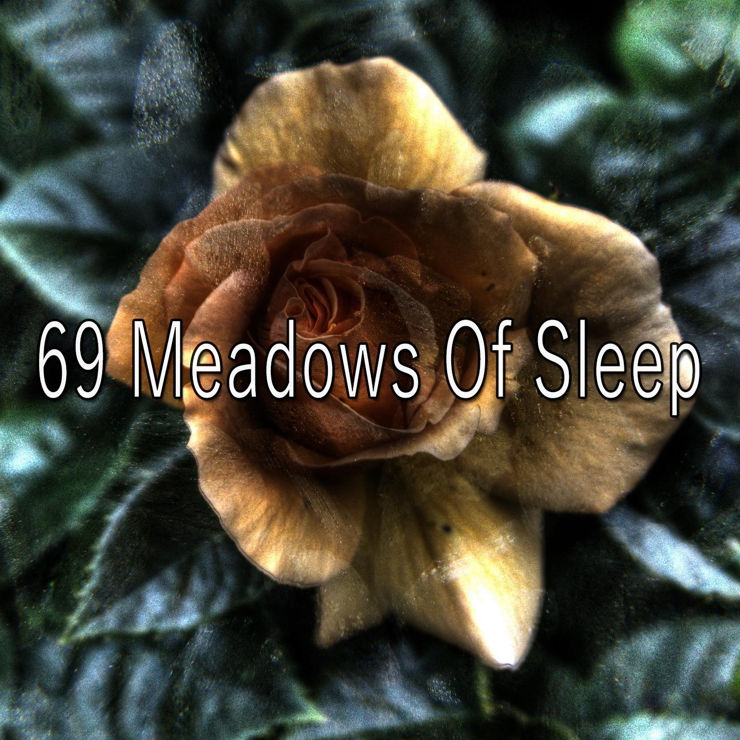 69 Meadows of Sleep