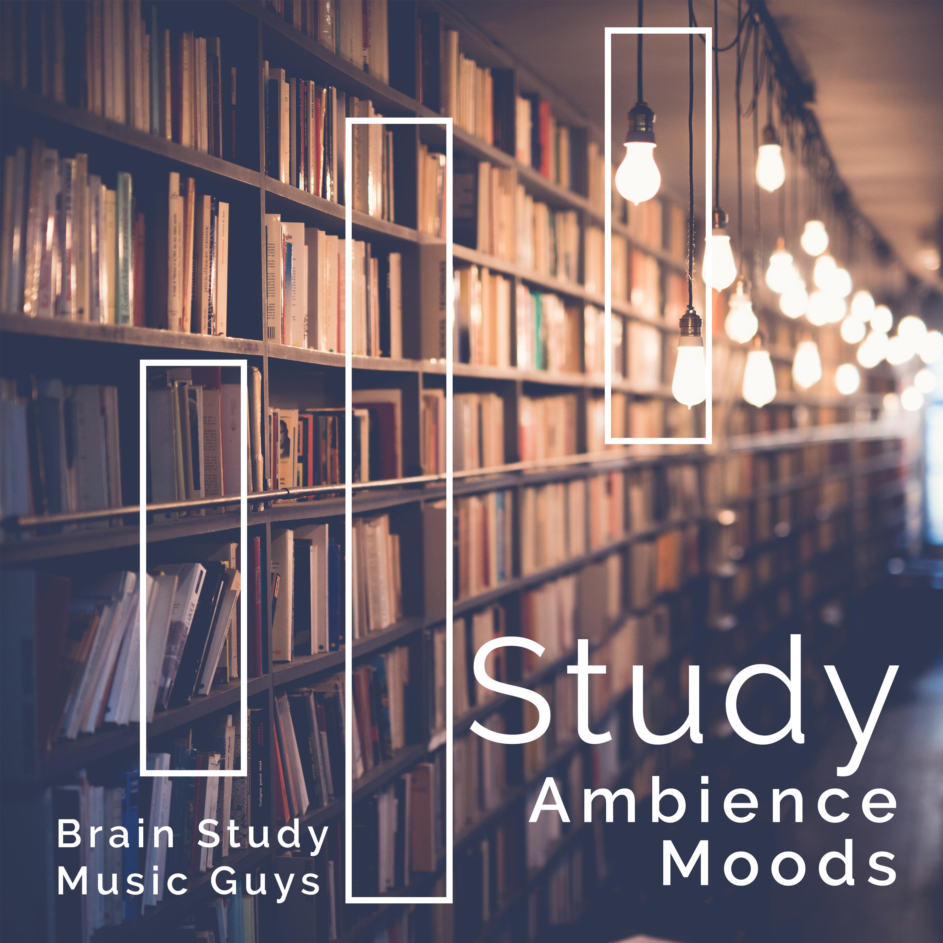Study Ambience Moods
