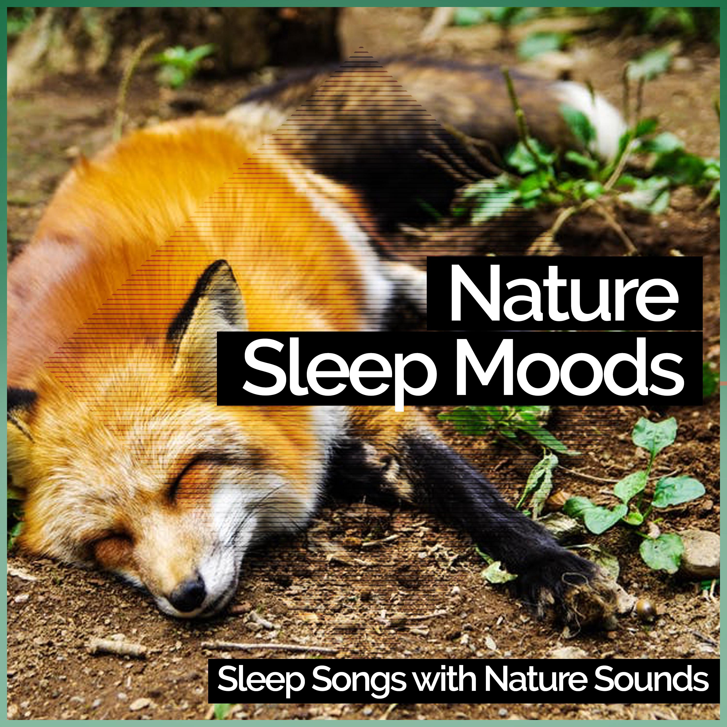 Nature Sleep Moods