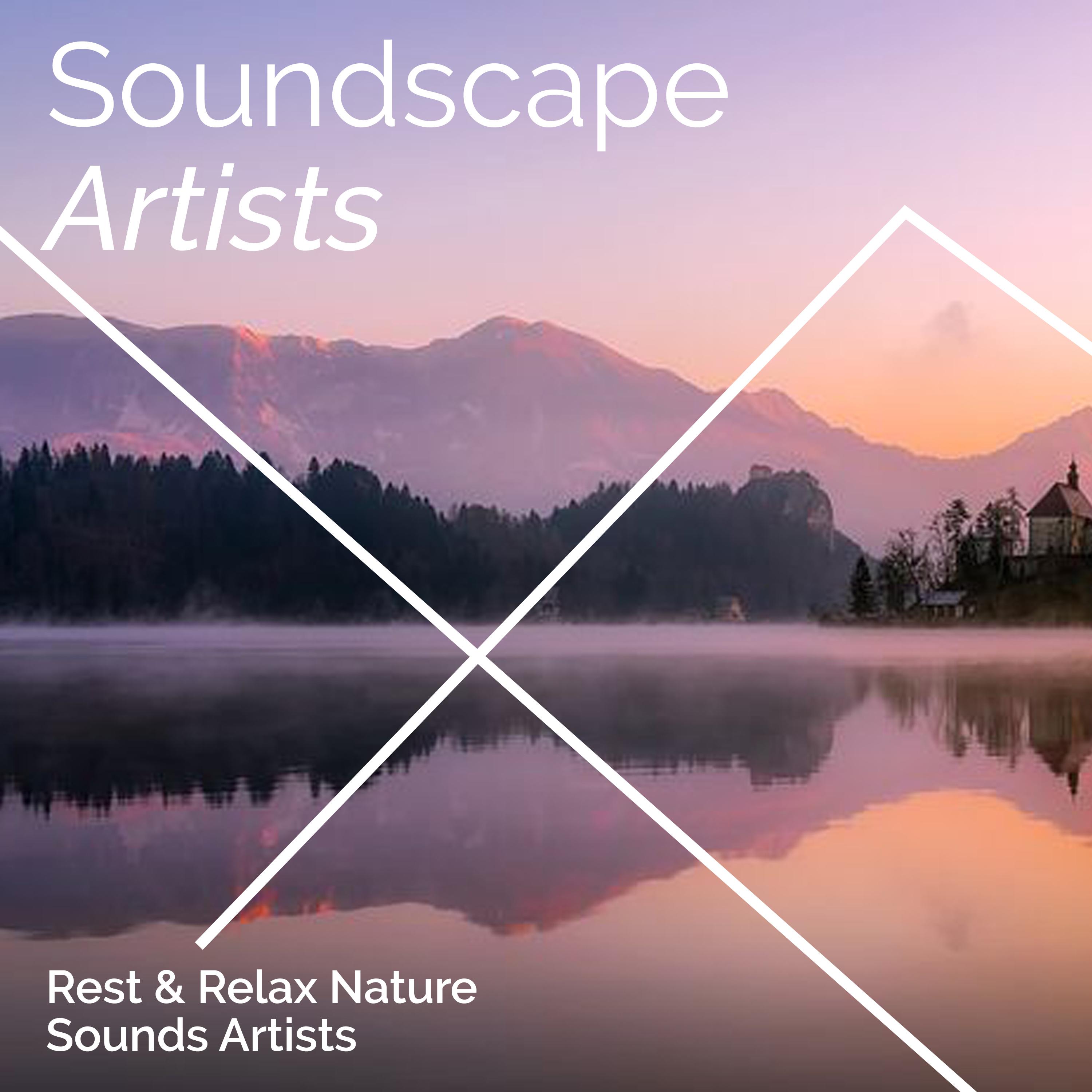 Soundscape Artists