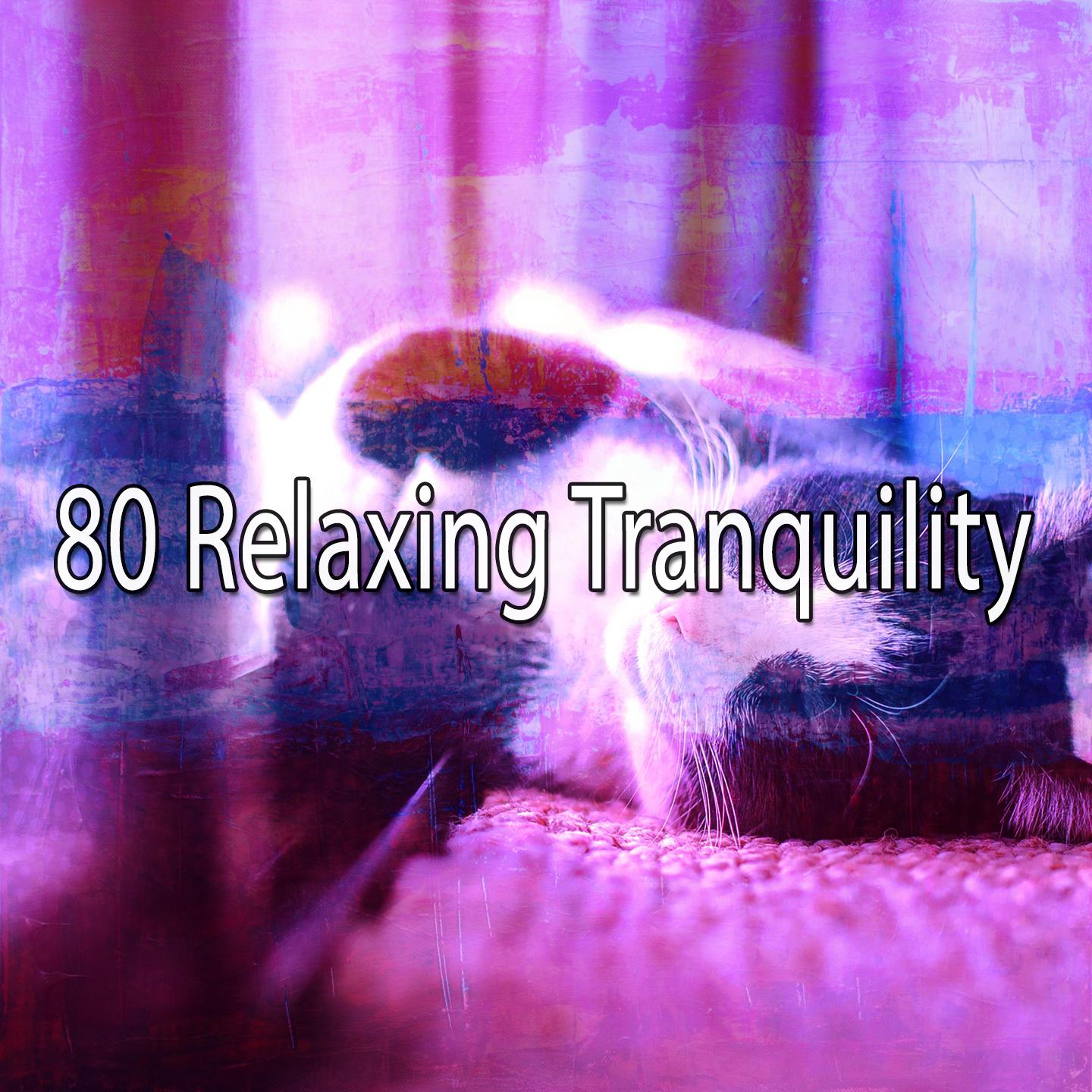 80 Relaxing Tranquility