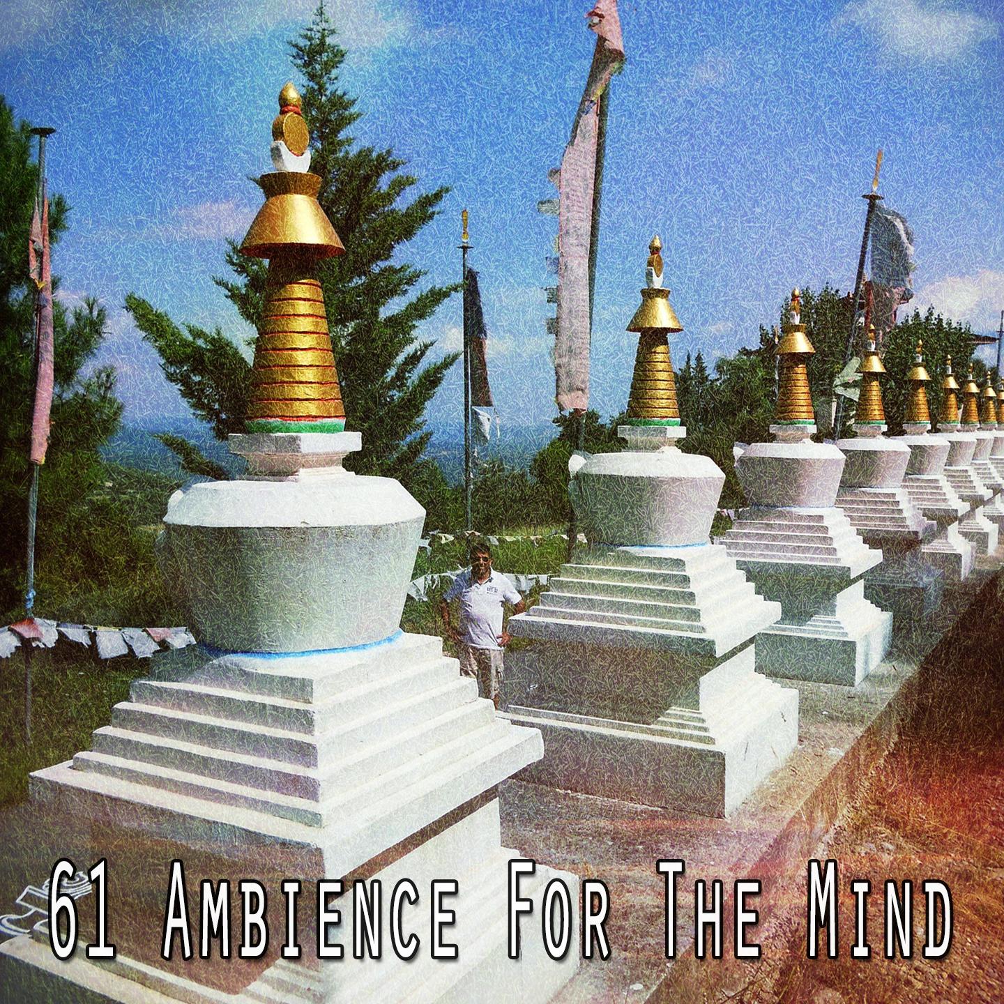 61 Ambience for the Mind