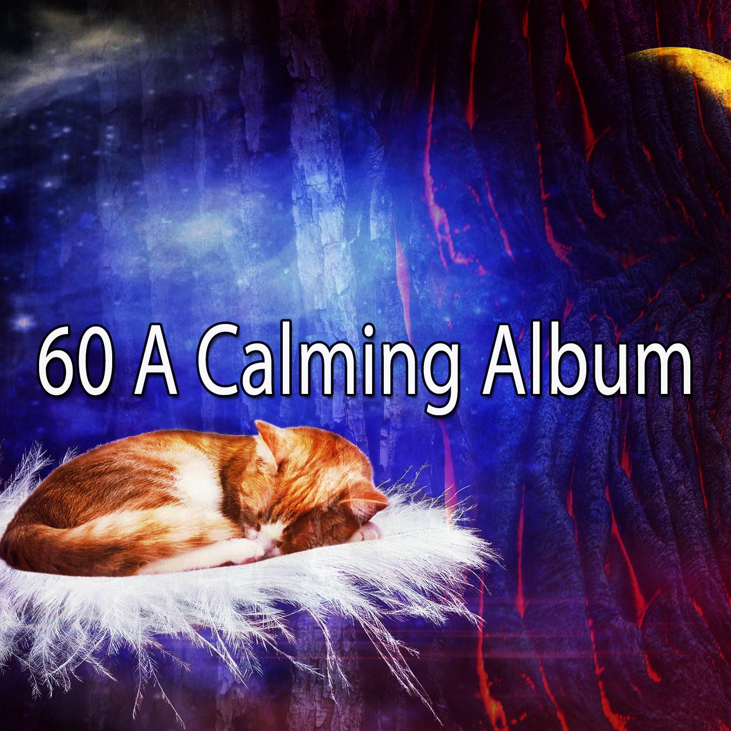 60 A Calming Album