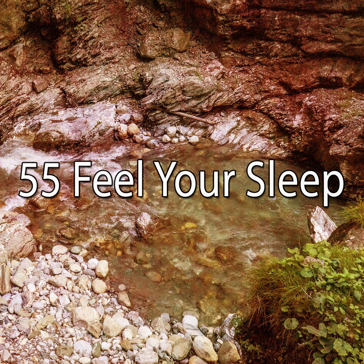 55 Feel Your Sleep