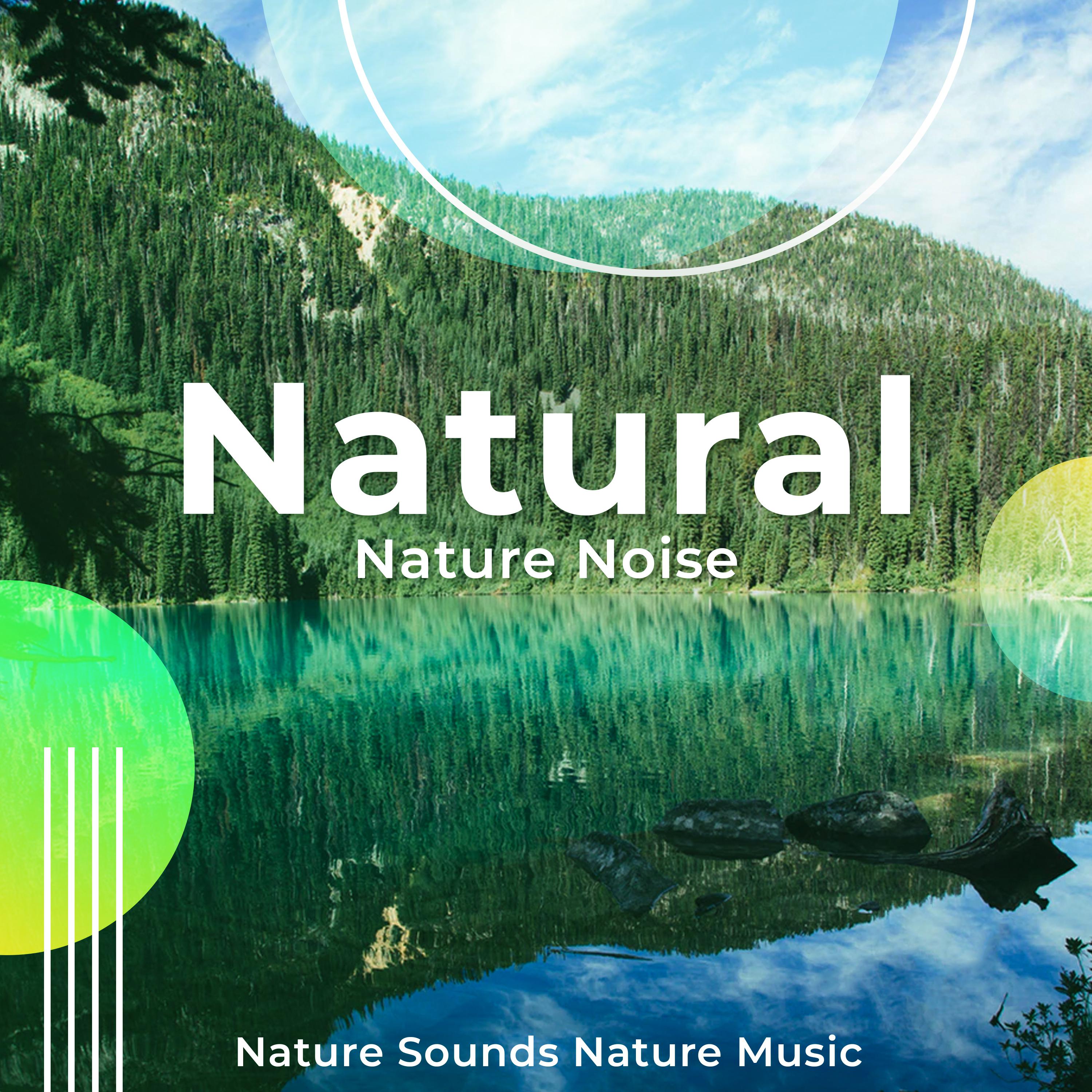 Natural Nature Noise