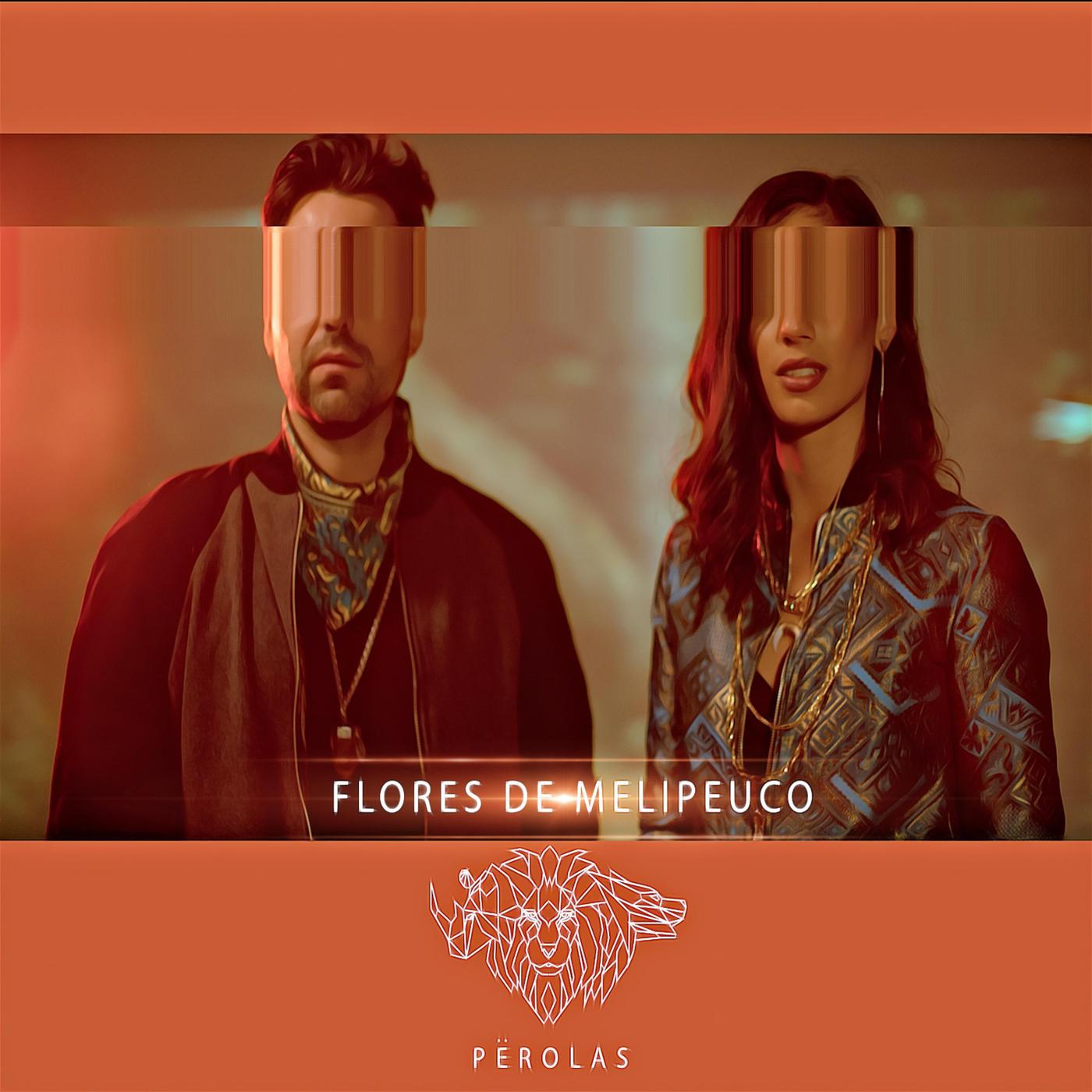 Flores De Melipeuco