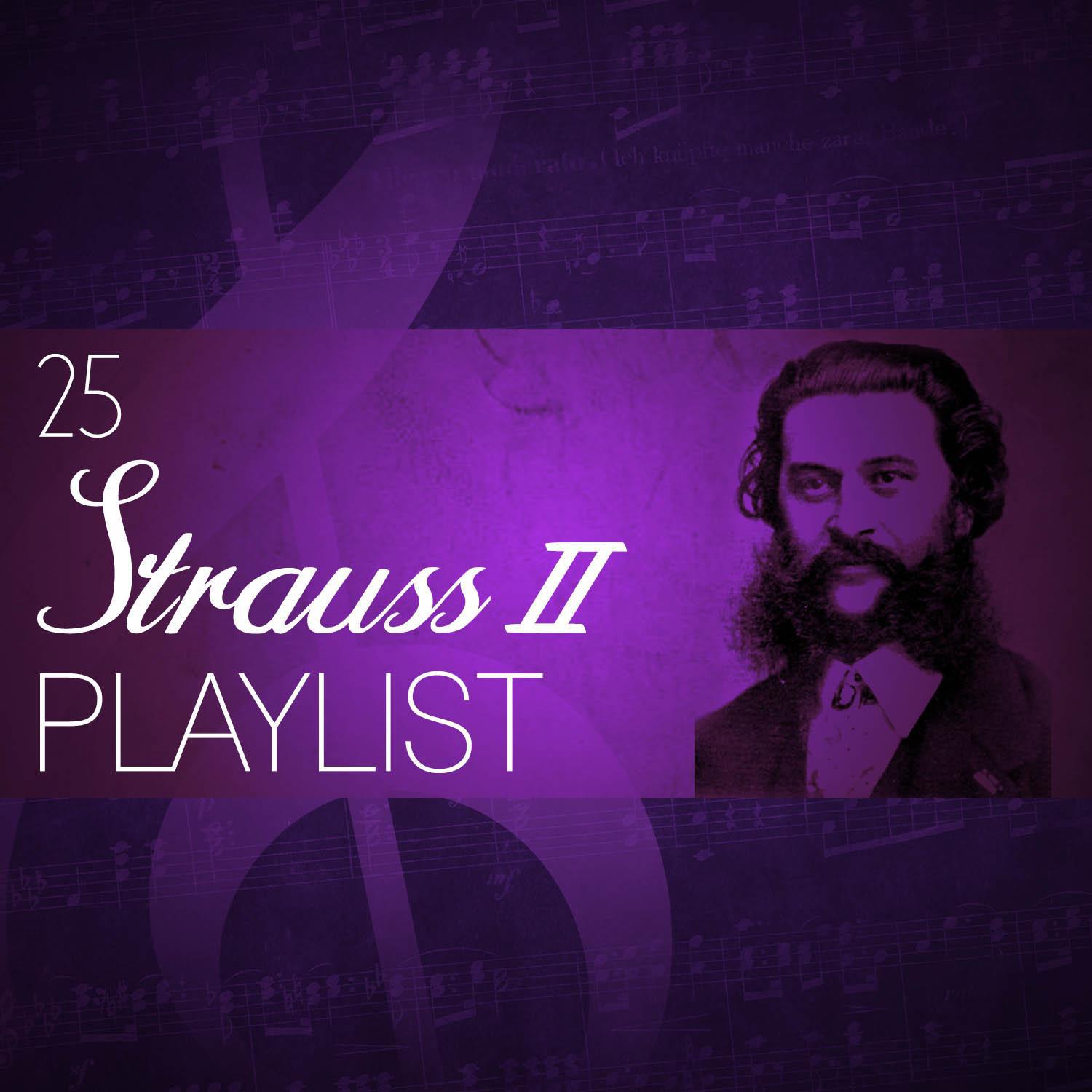 25 Strauss II Playlist