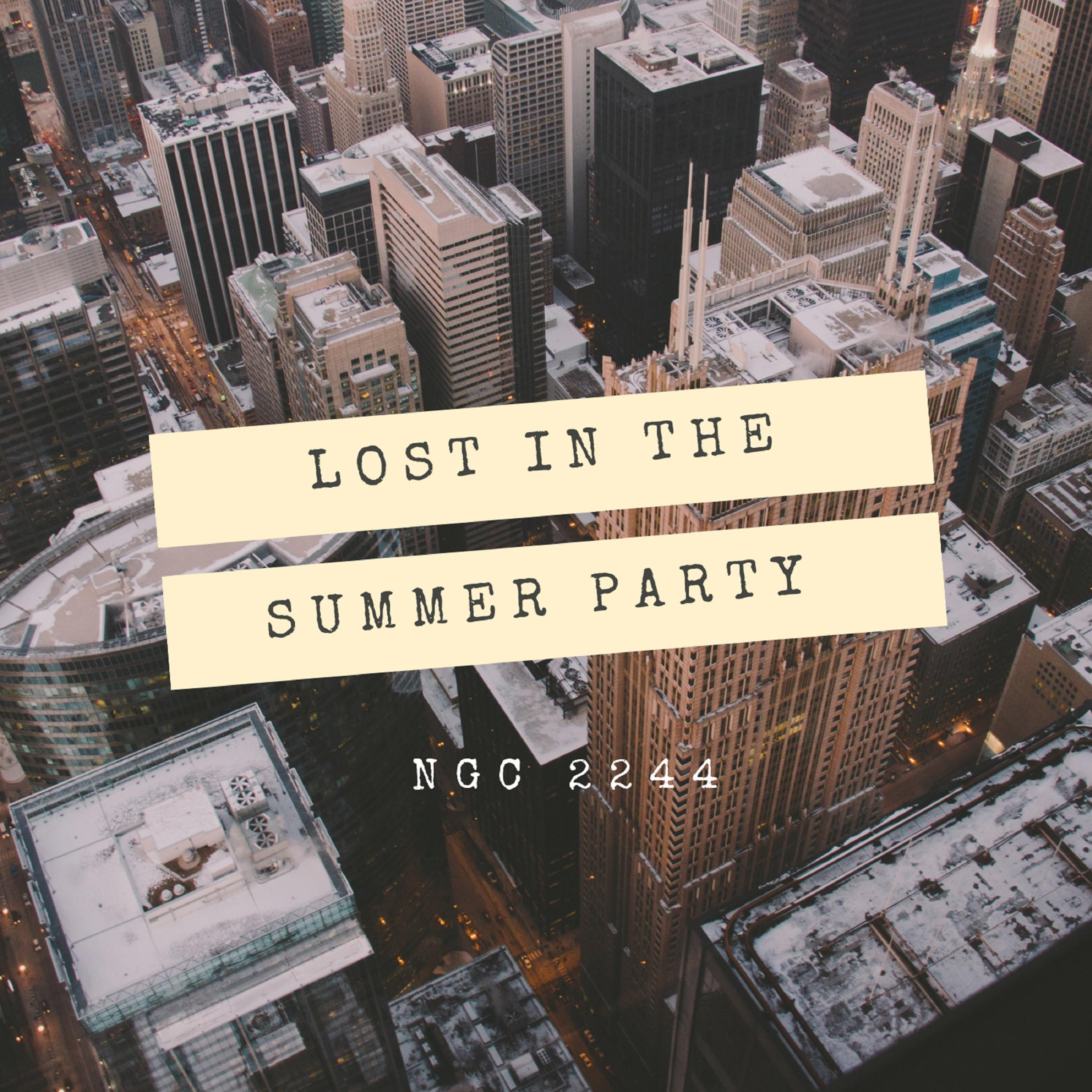 Lost in the Summer Party