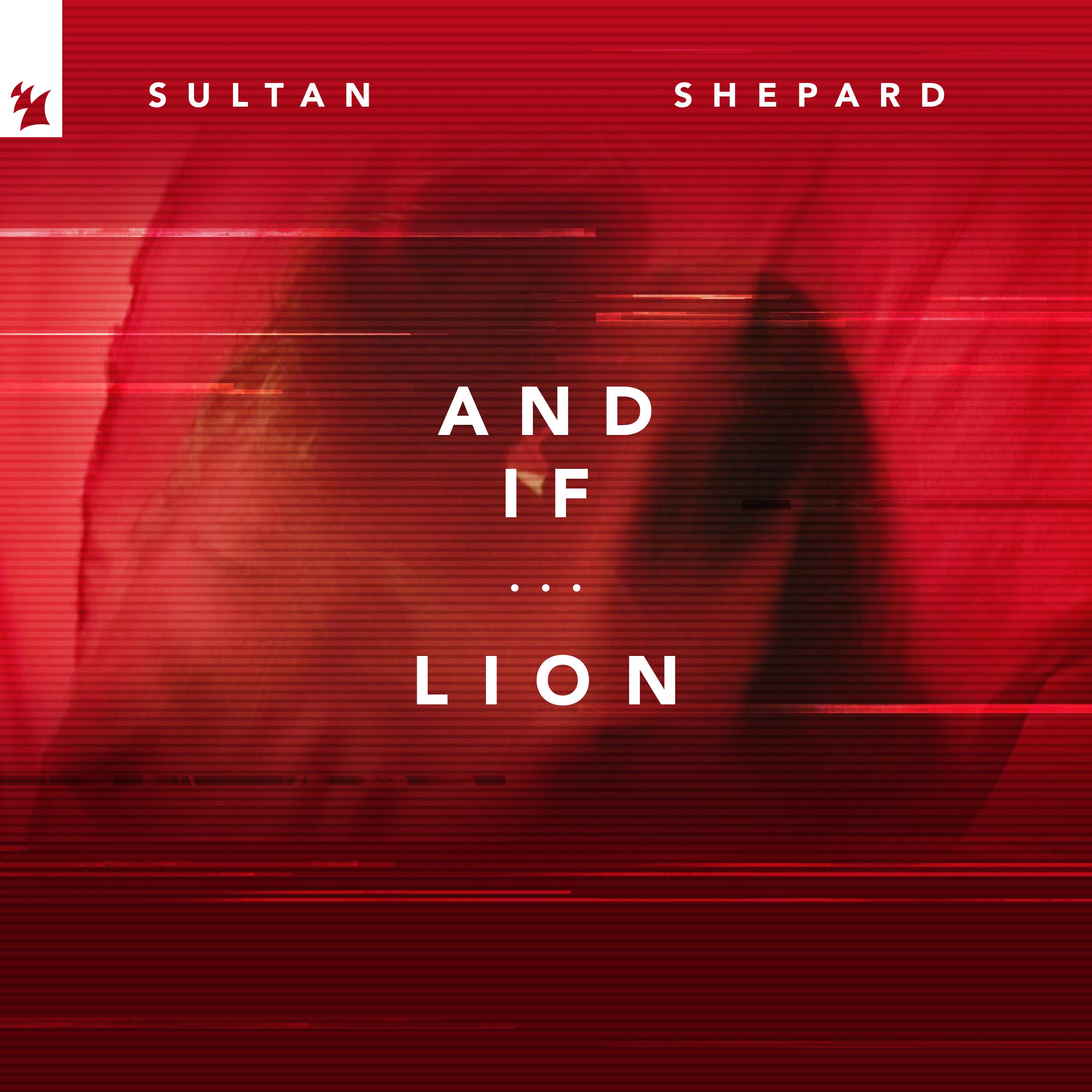 And If... / Lion
