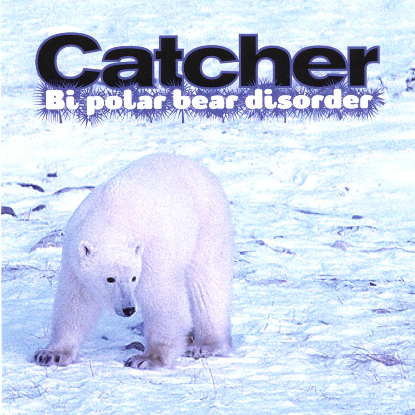 Bi polar bear disorder