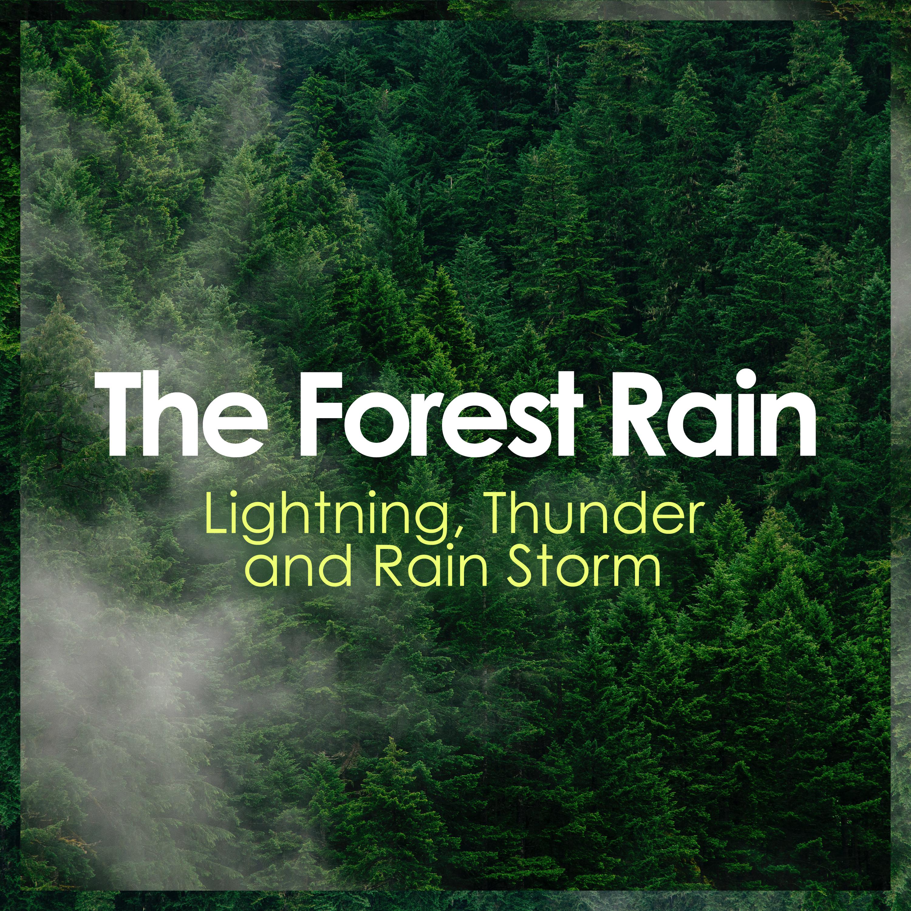 The Forest Rain