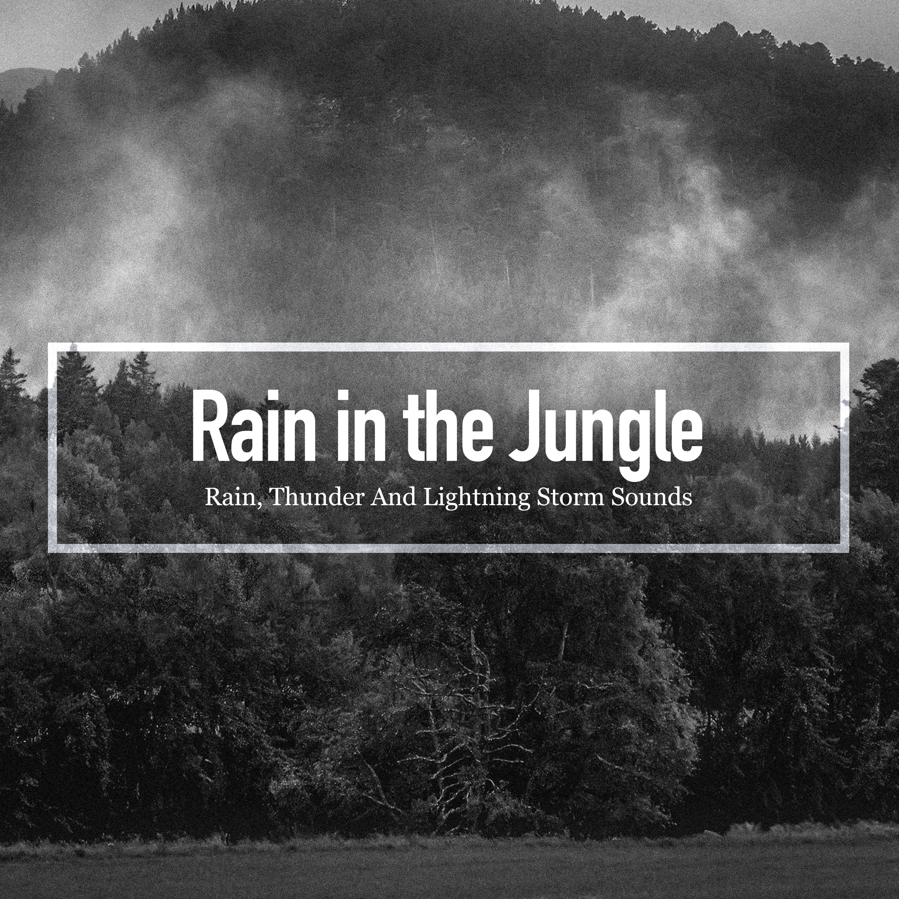 Rain in the Jungle