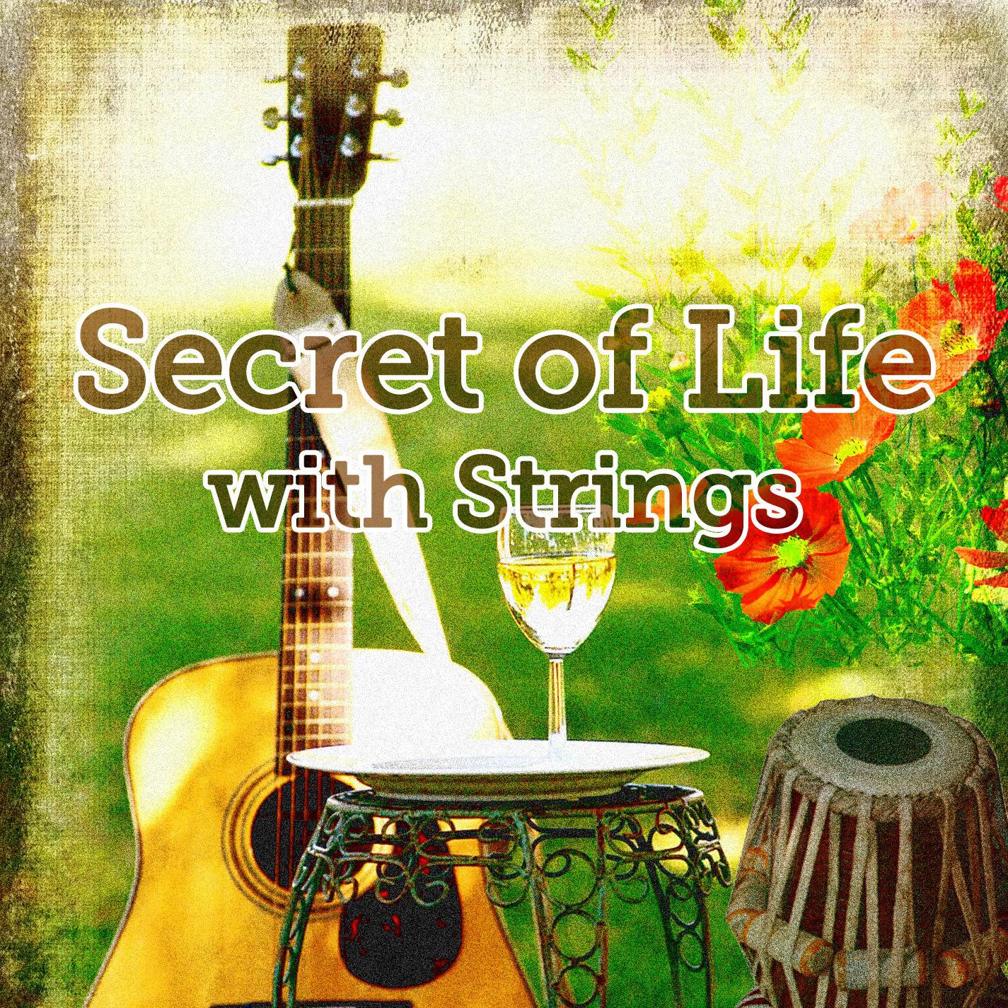 Secret of Life with Strings - James Taylor Tribute - Single