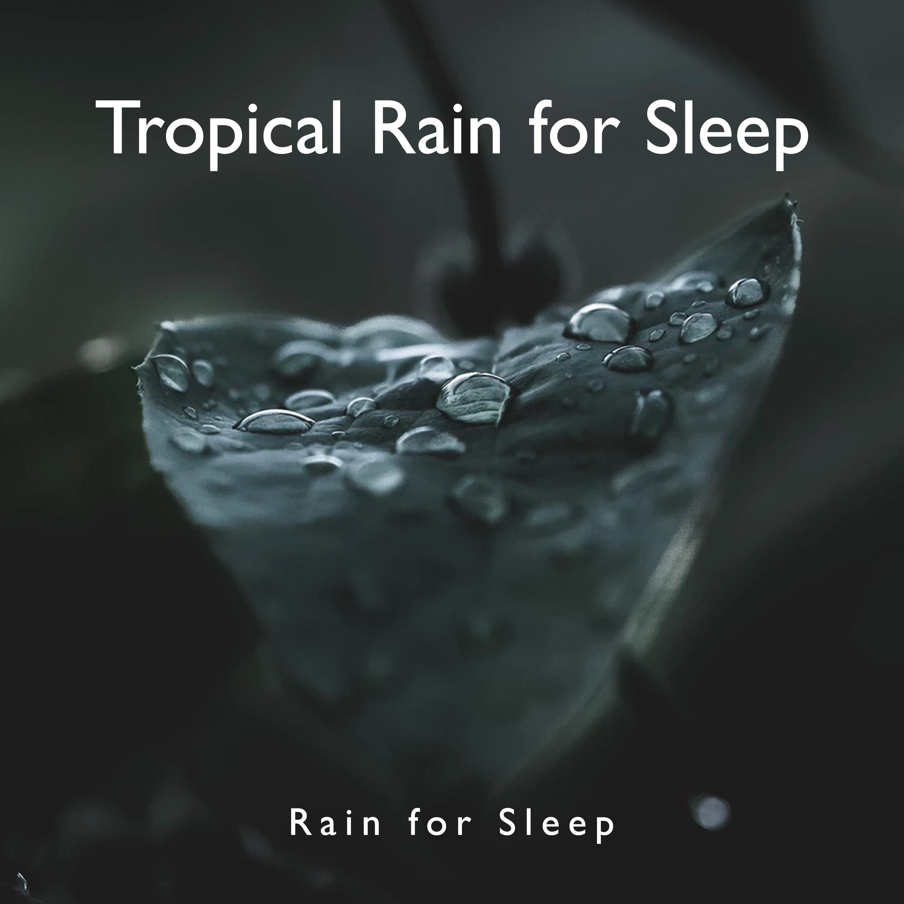 Tropical Rain for Sleep