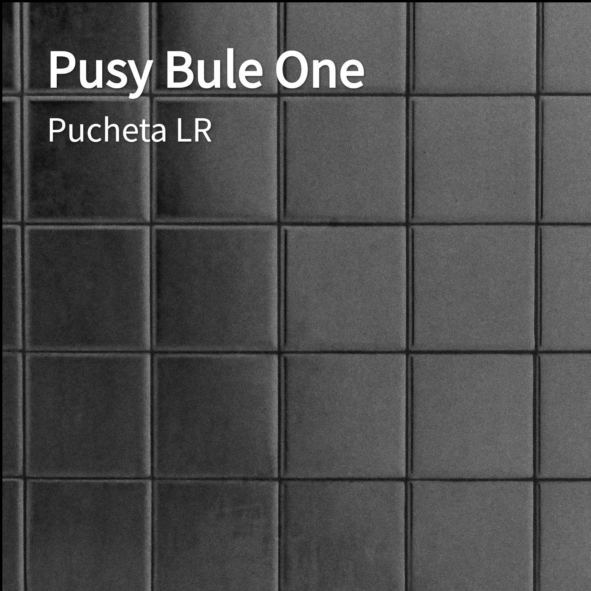 Pusy Bule One