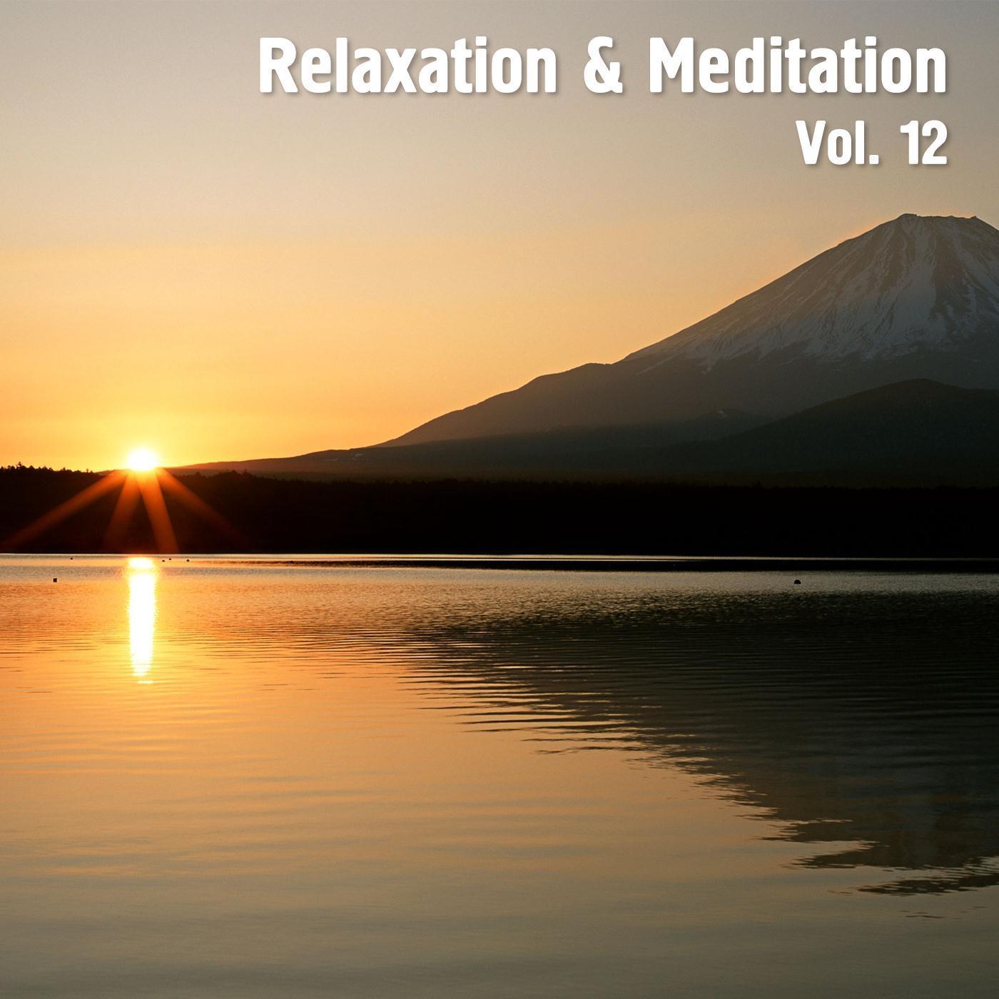 Relaxation & Meditation, Vol. 12