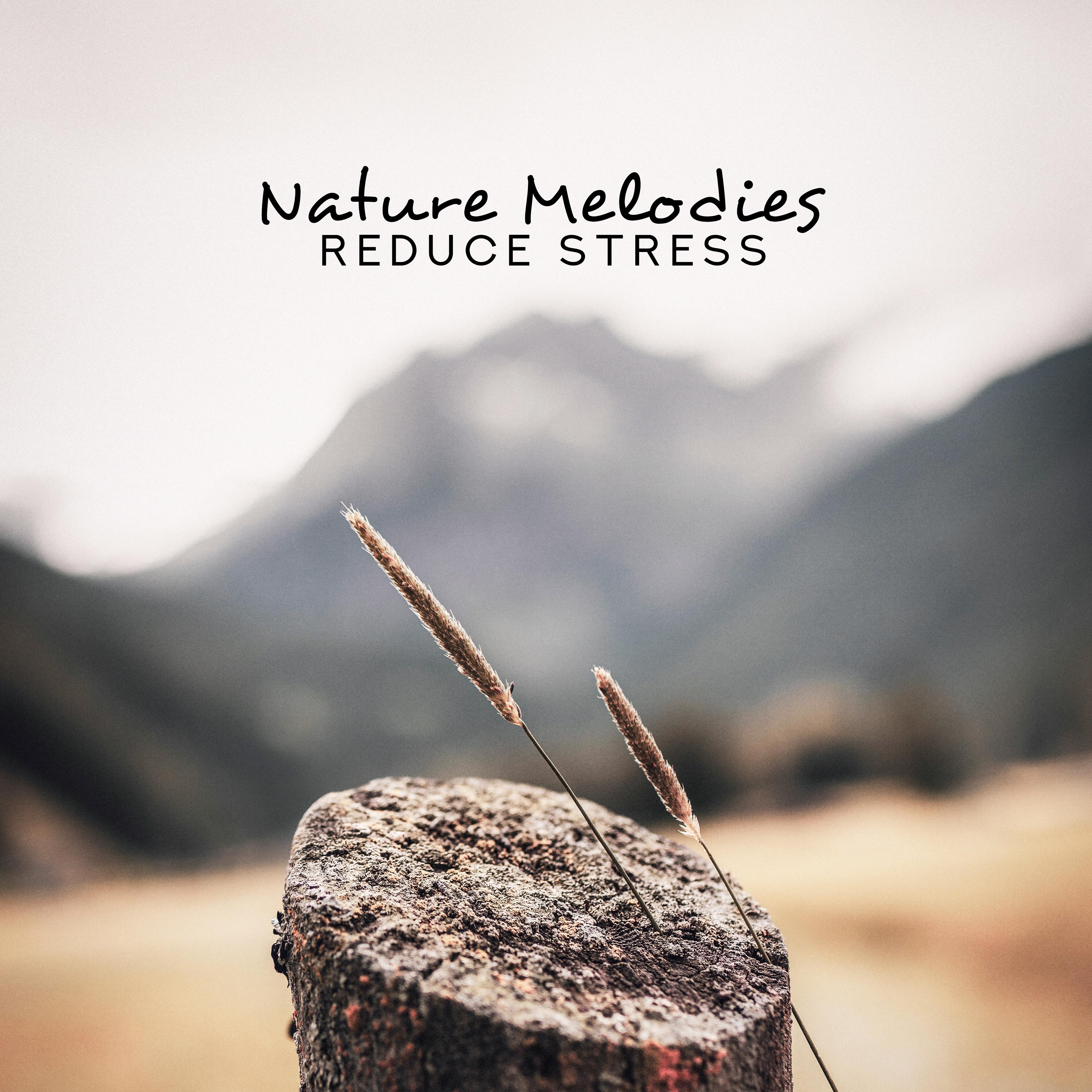 Nature Melodies Reduce Stress: Relaxing Music Therapy for Deep Harmony, Music Zone, Relaxing Vibes, Calm Down, New Age Music, Nature Music