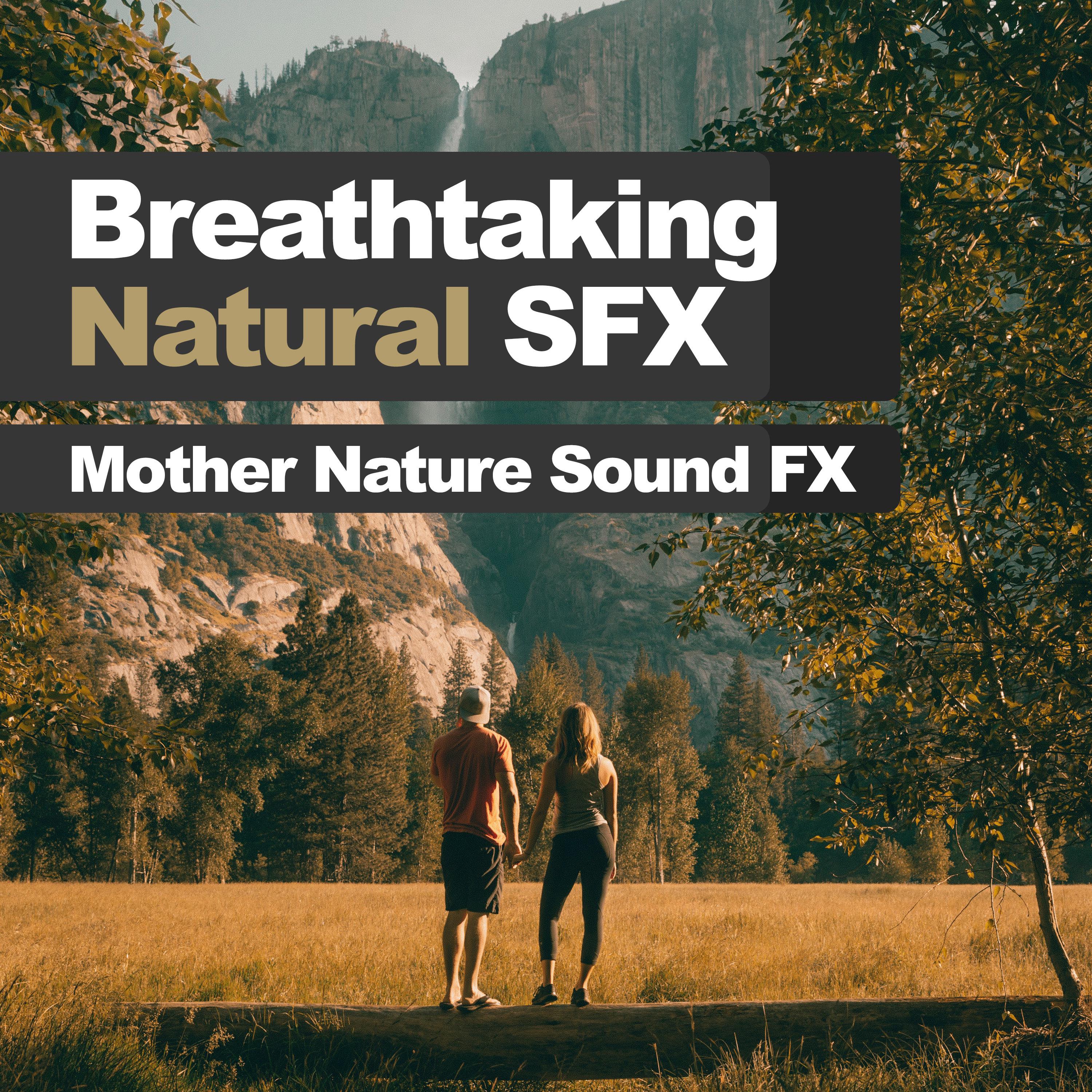 Breathtaking Natural SFX