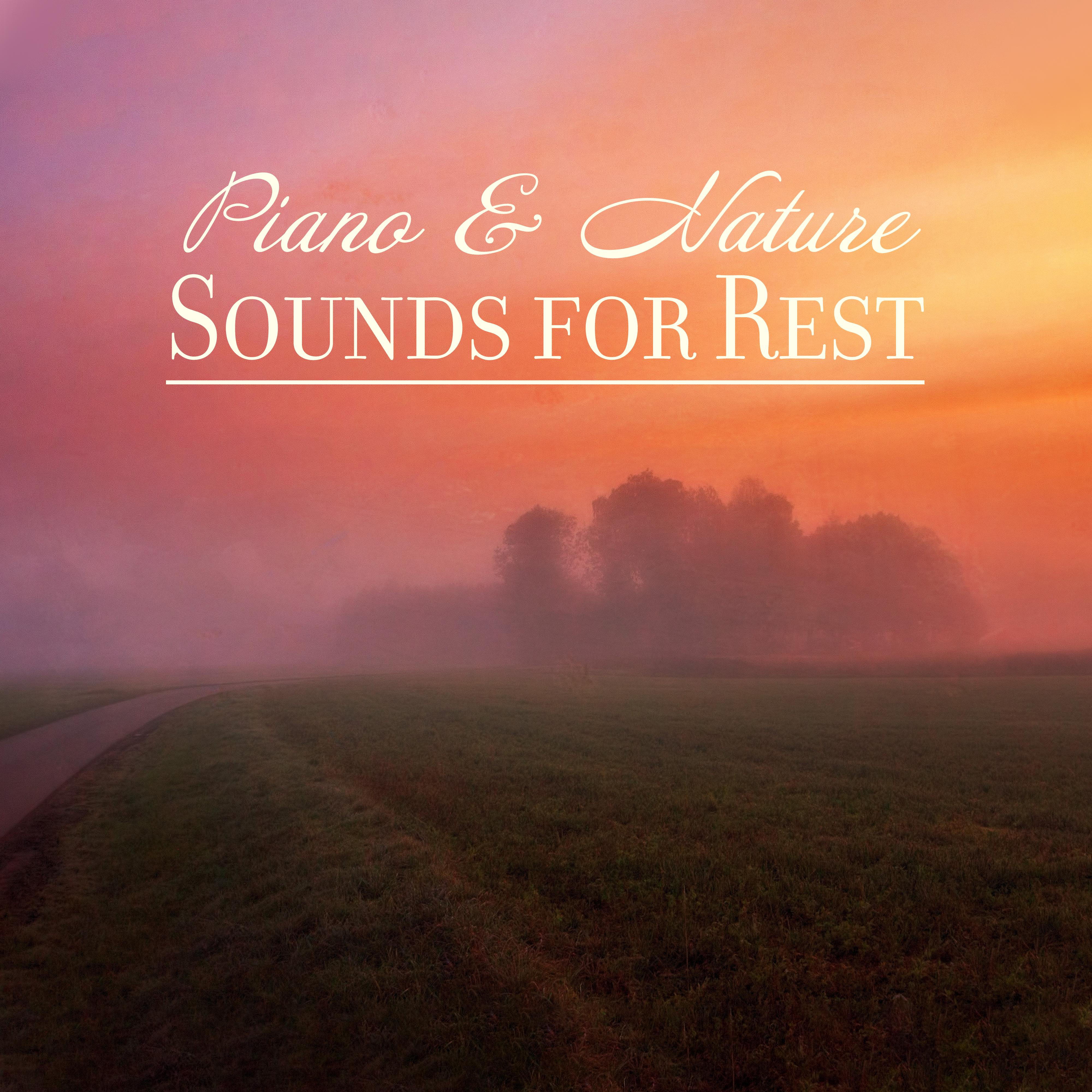 Piano & Nature Sounds for Rest: Compilation of 2019 New Age Most Relaxing Nature Music, Soothing Sounds of Forest, Water, Birds & Many More, Lovely Piano Melodies