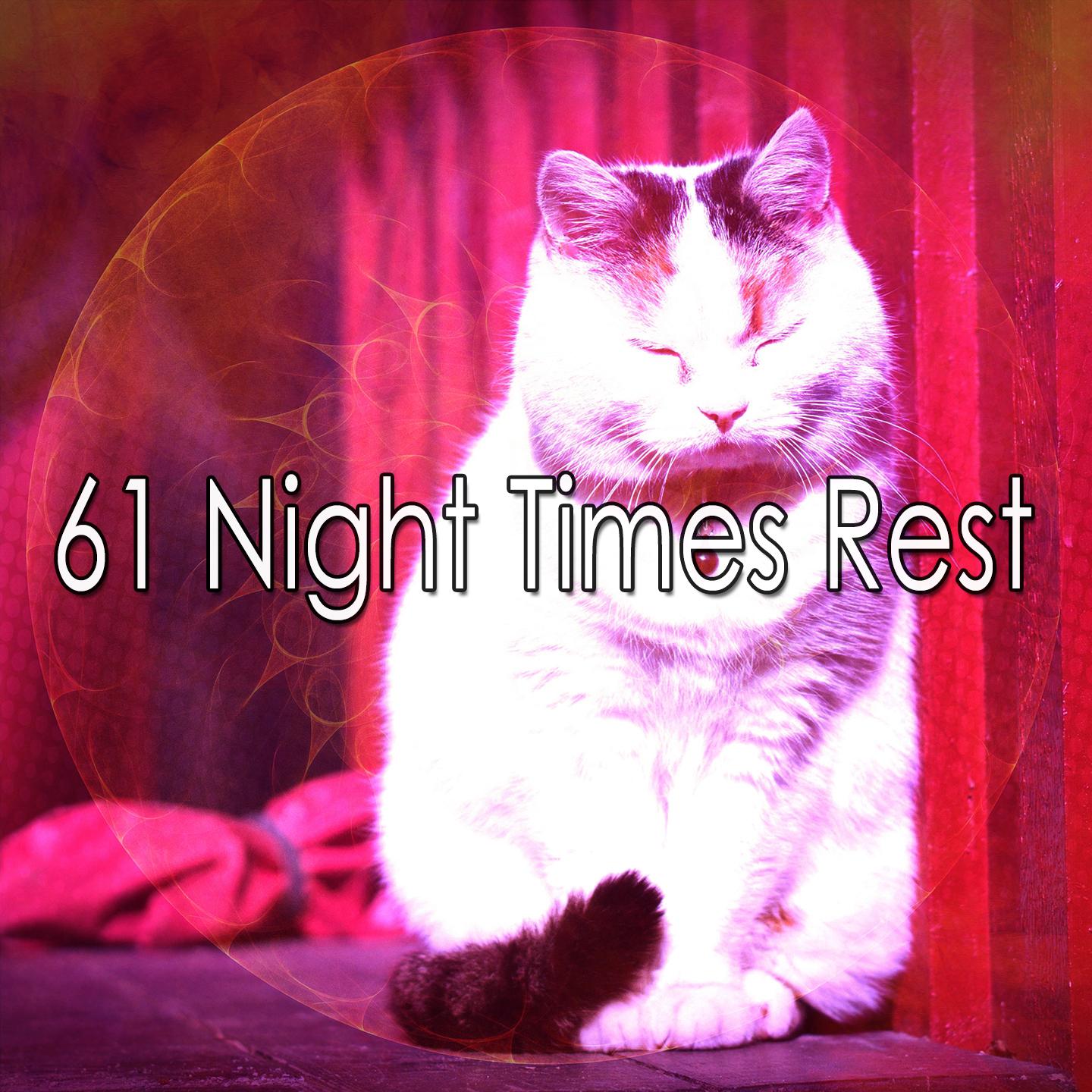 61 Night Times Rest