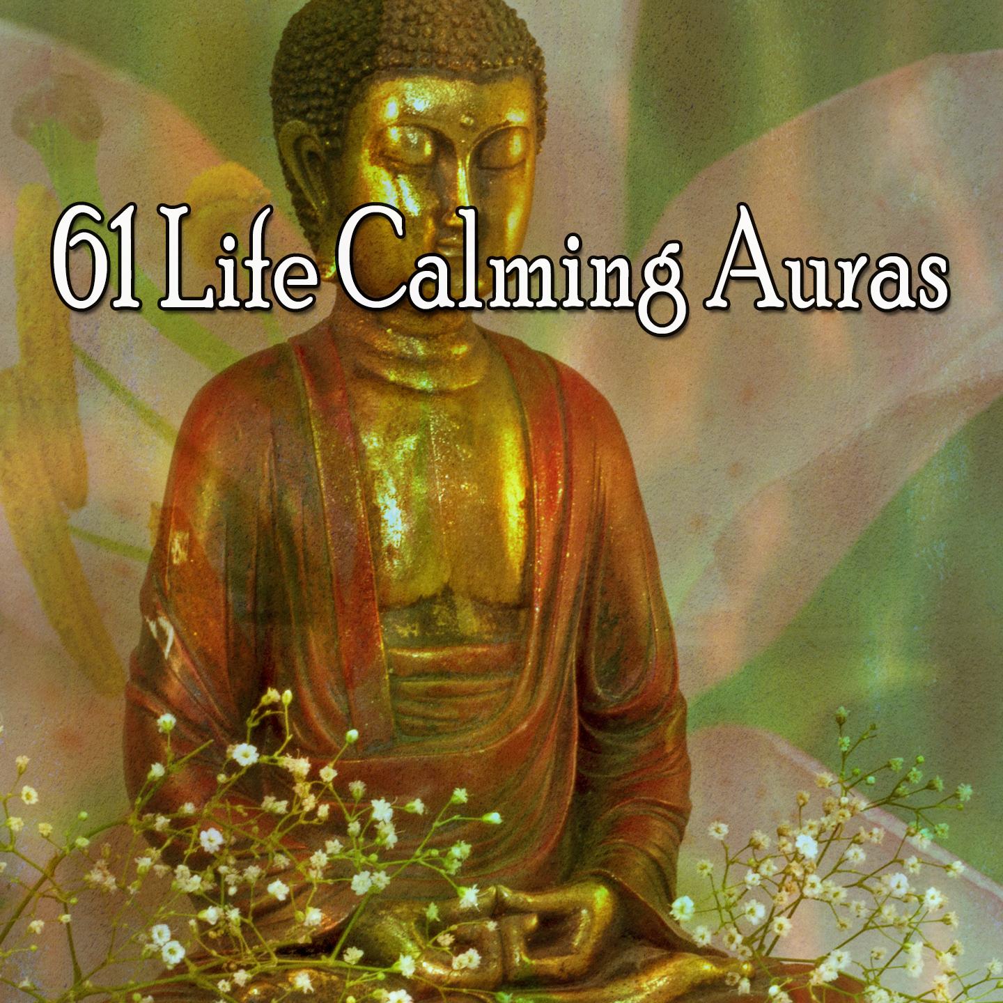 61 Life Calming Auras