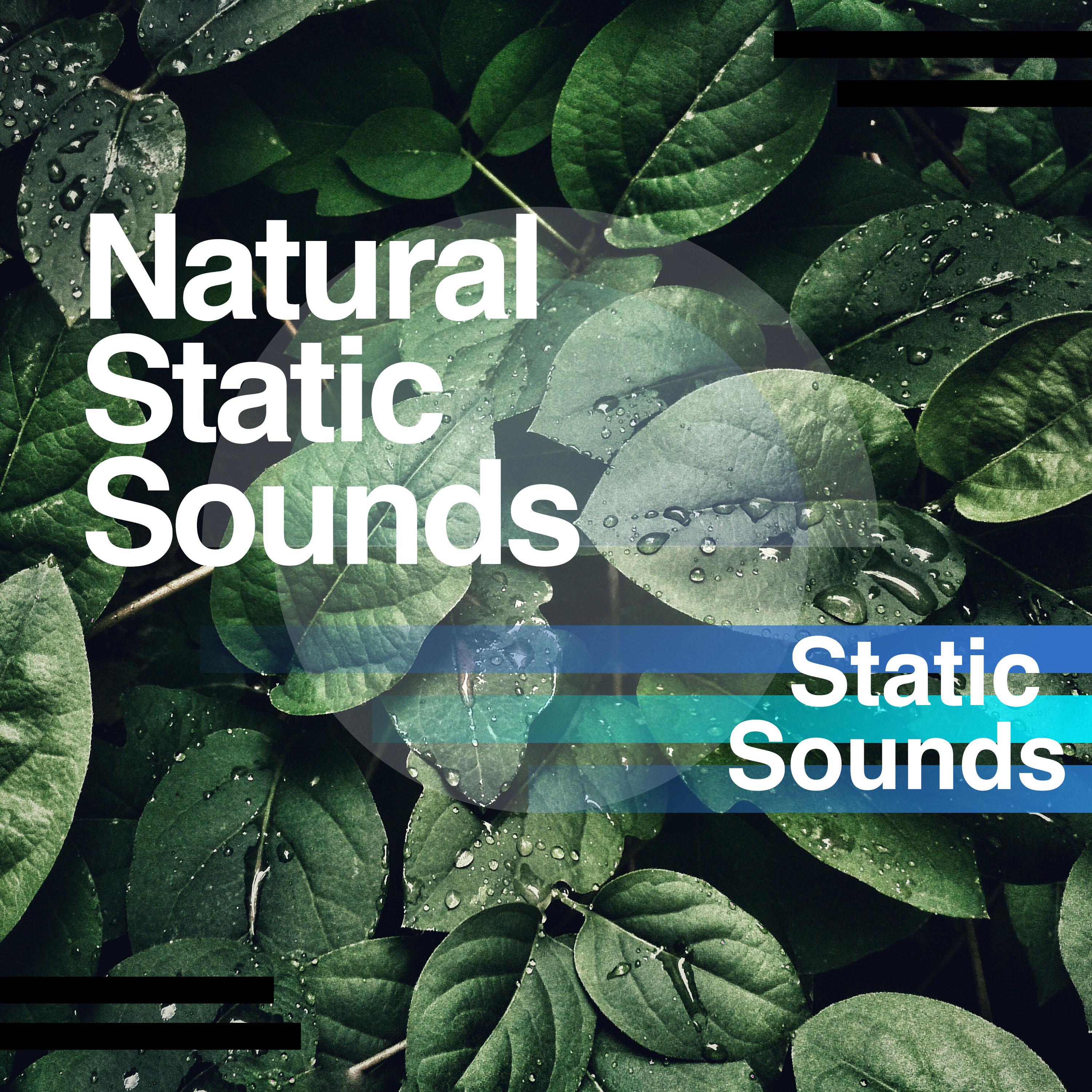 Natural Static Sounds