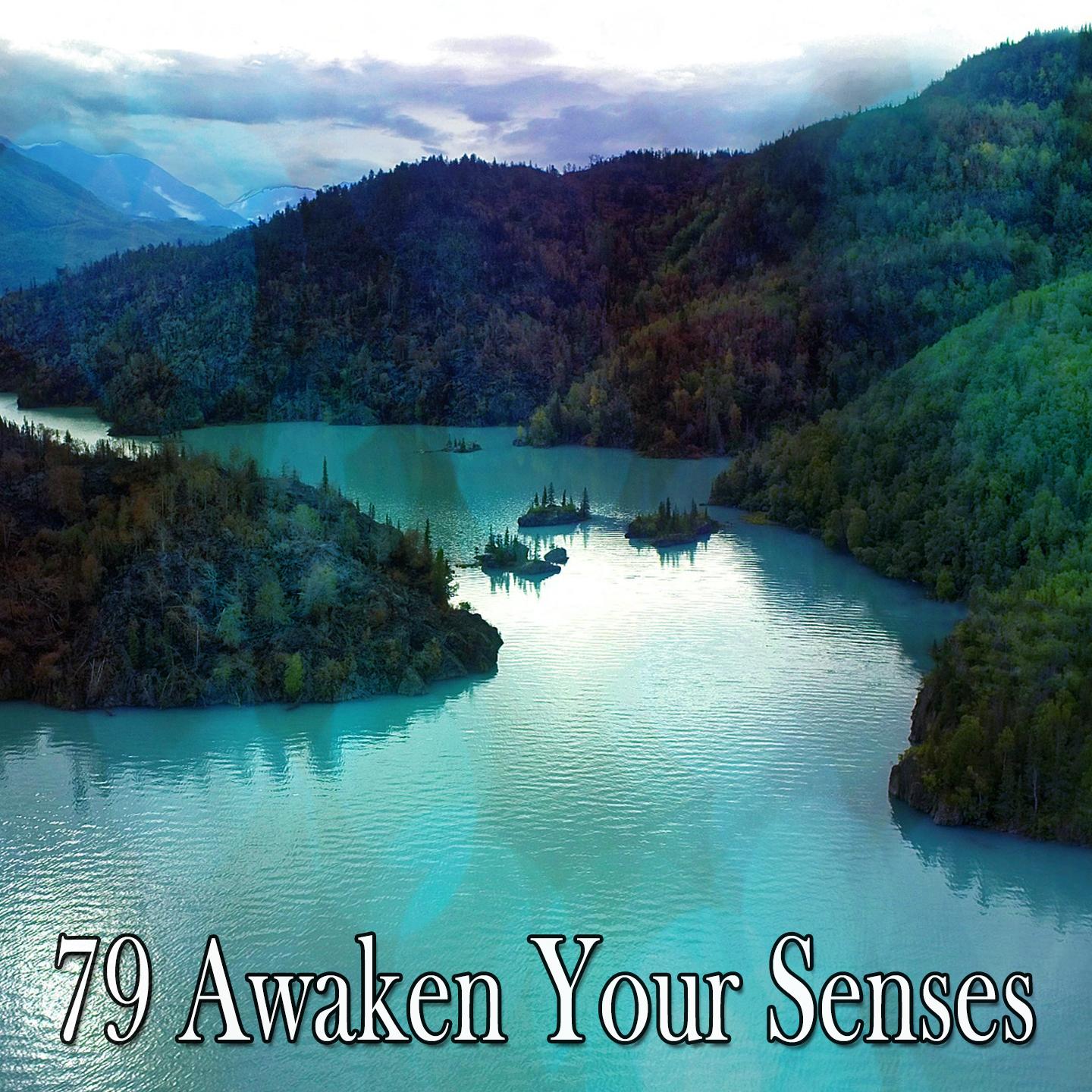 79 Awaken Your Senses