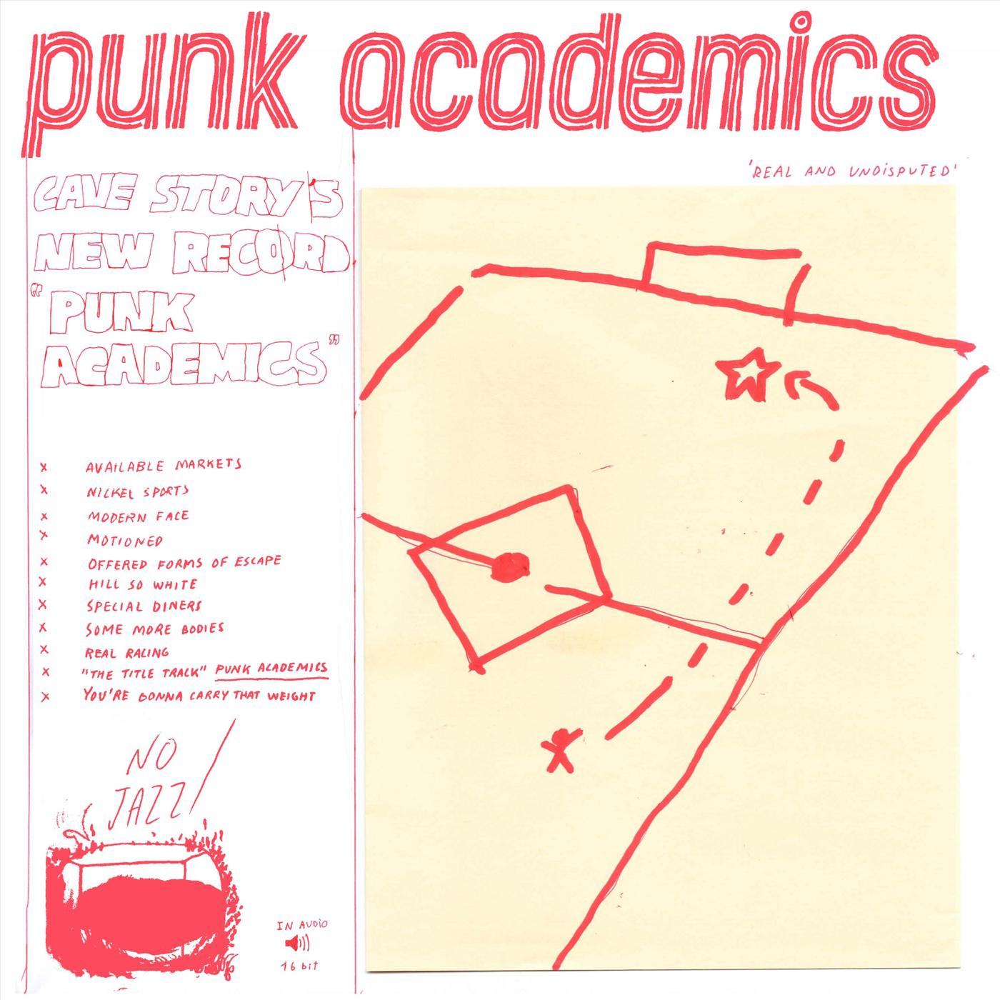 Punk Academics