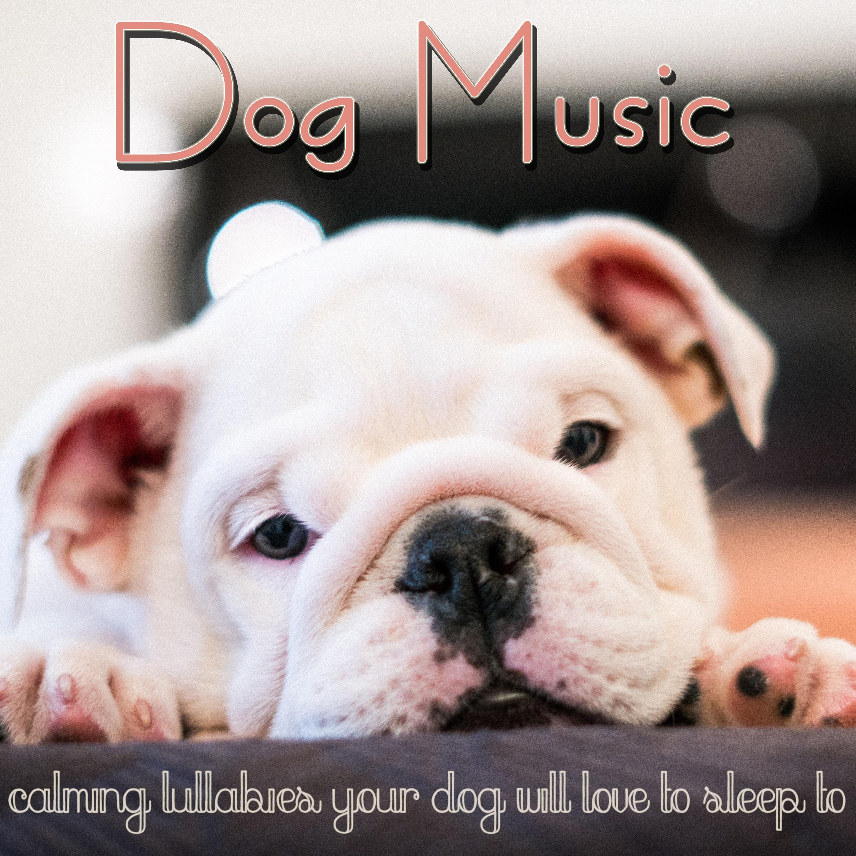 Dog Music: Calming Lullabies Your Dog Will Love to Sleep To