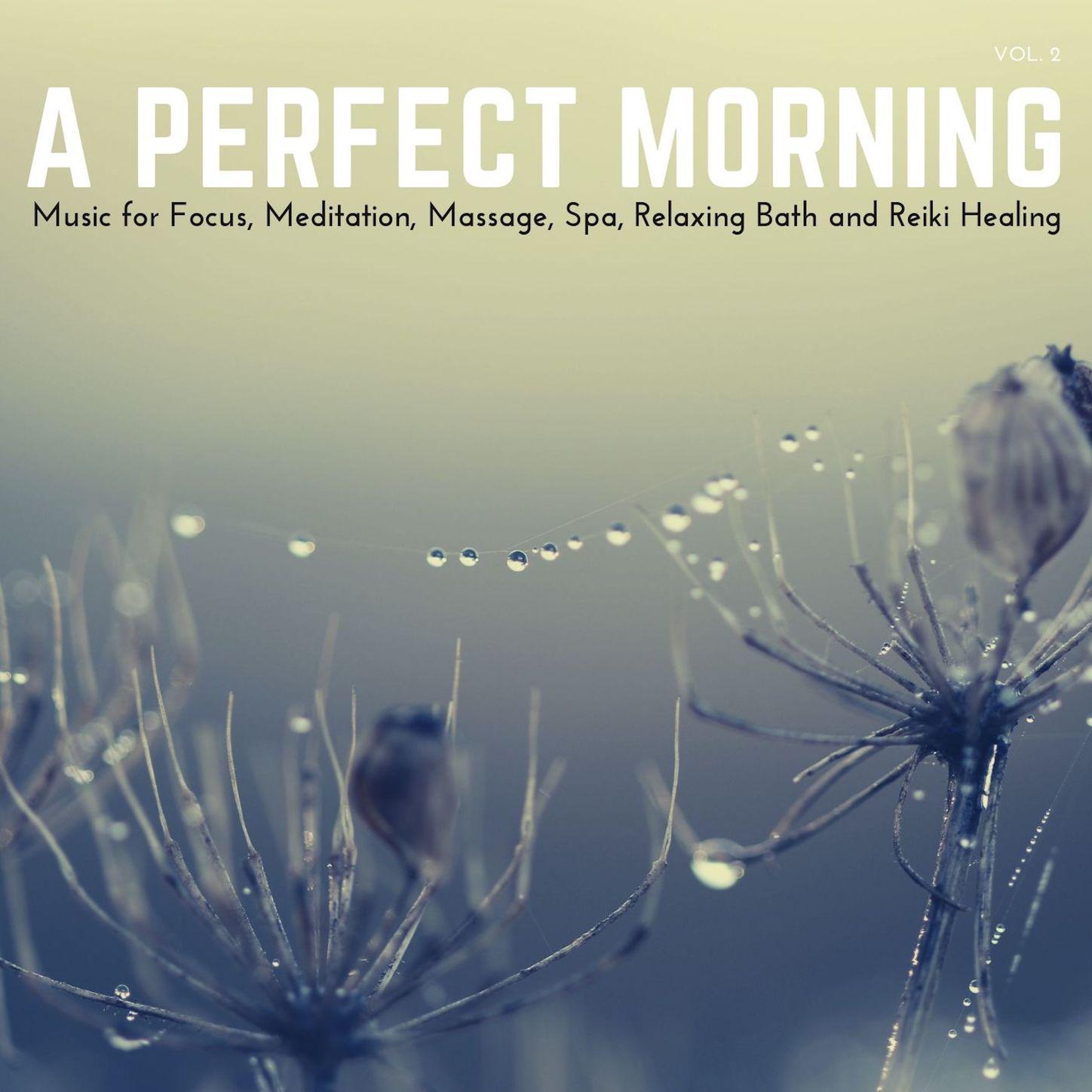 A Perfect Morning (Music for Focus, Meditation, Massage, Spa, Relaxing Bath and Reiki Healing, Vol. 2)