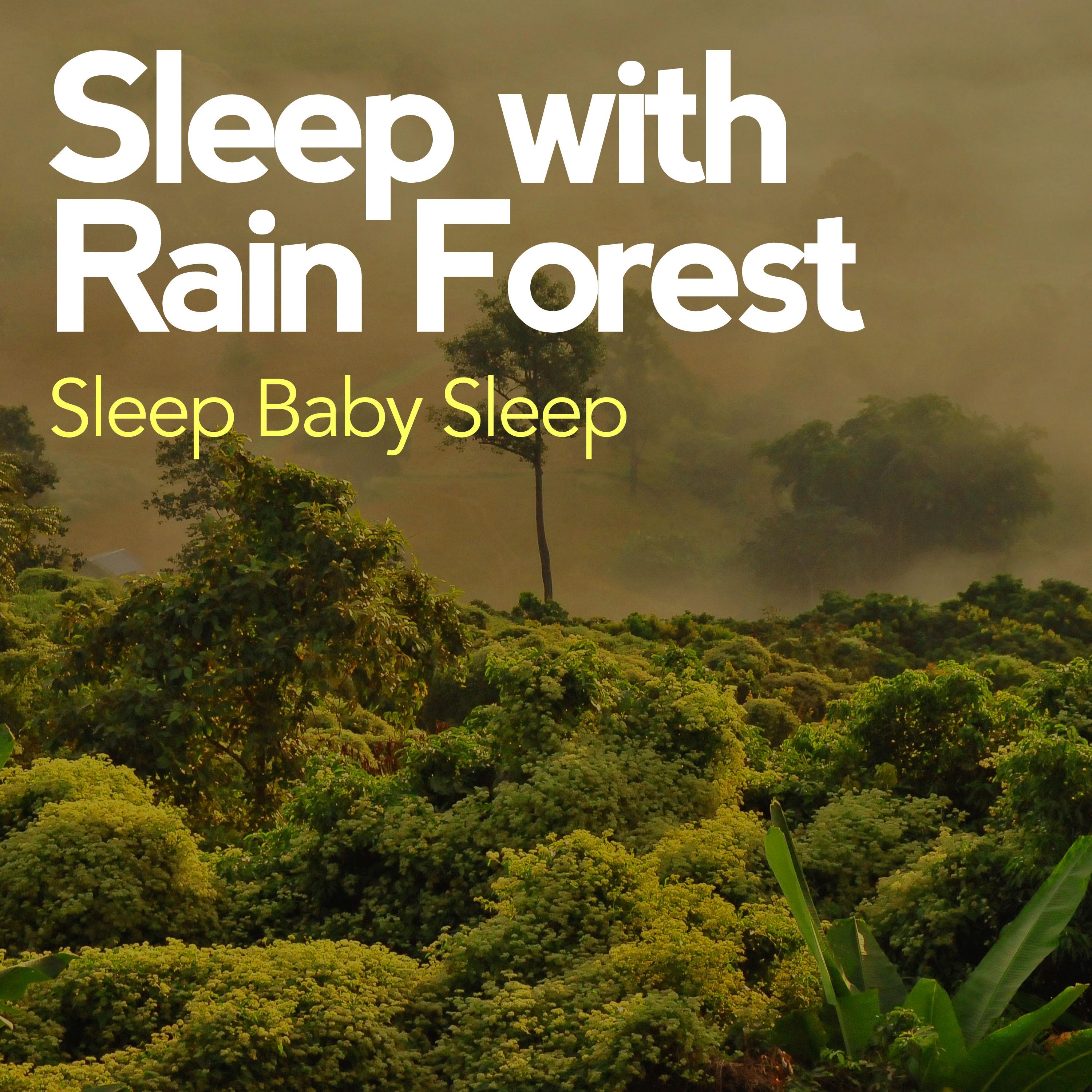 Sleep with Rain Forest