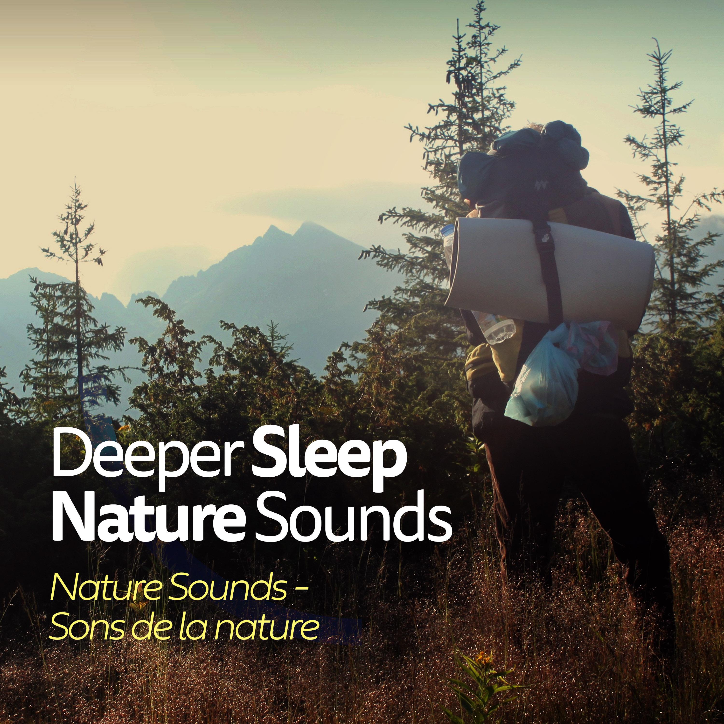 Deeper Sleep Nature Sounds