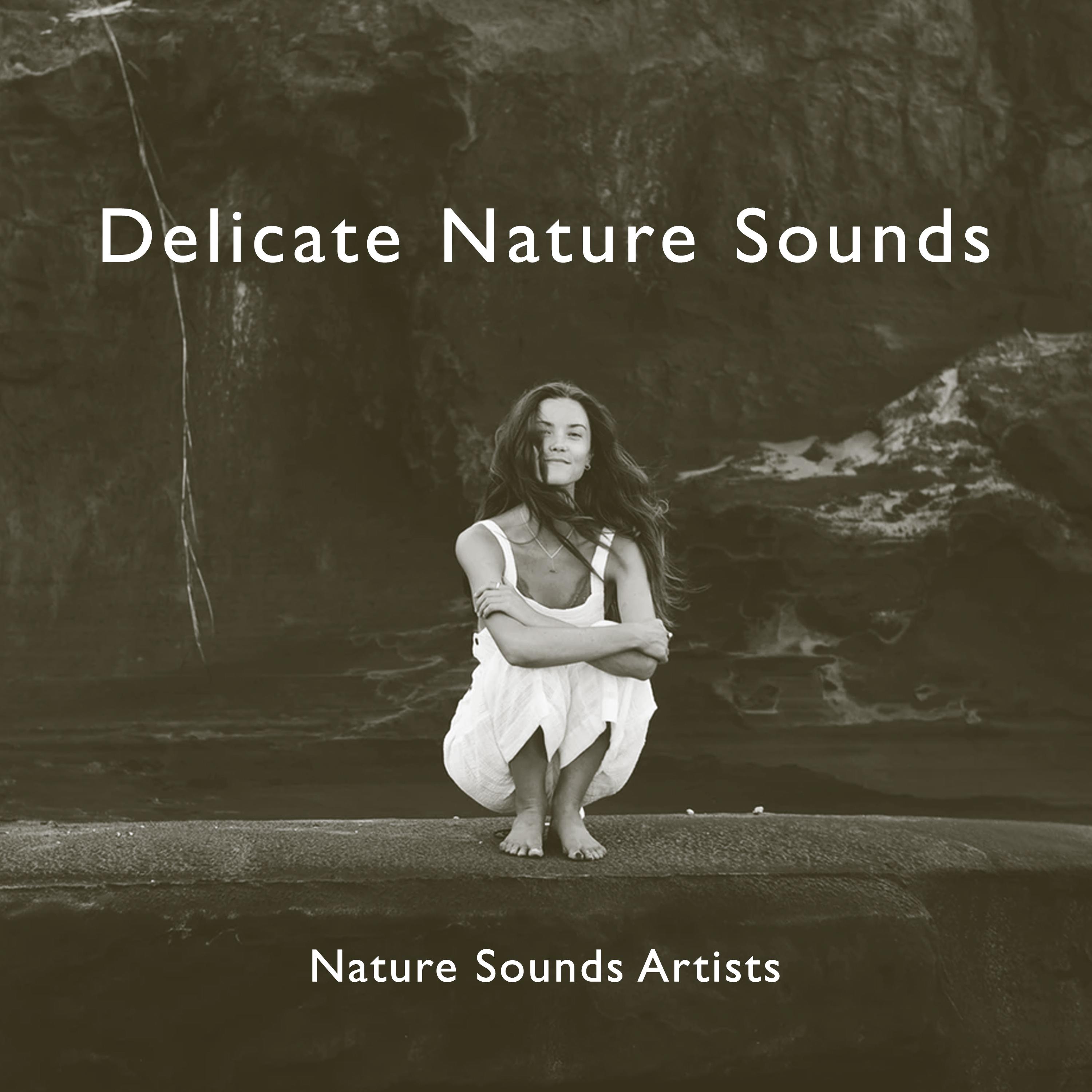 Delicate Nature Sounds