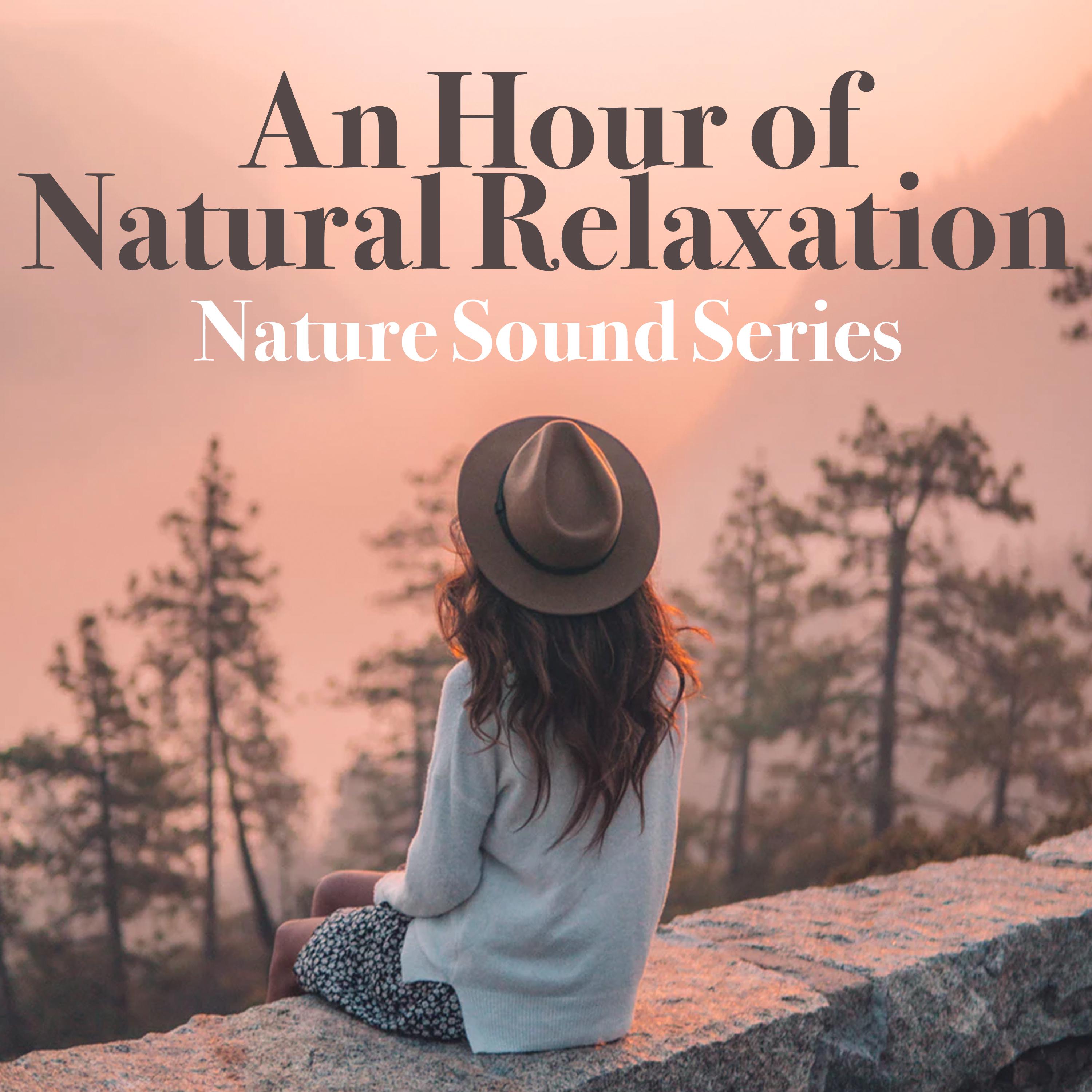 An Hour of Natural Relaxation