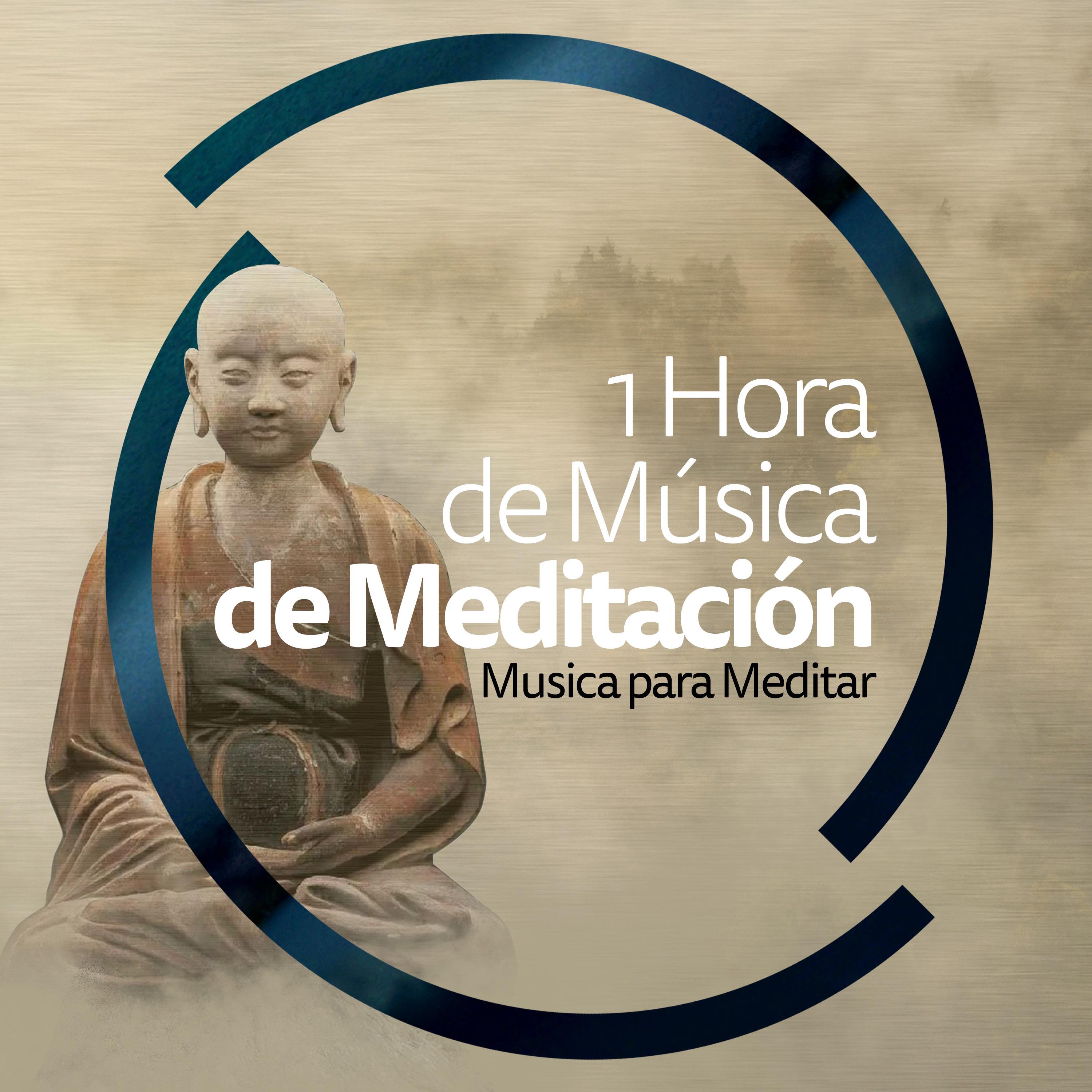 1 Hora de Mu sica de Meditacio n