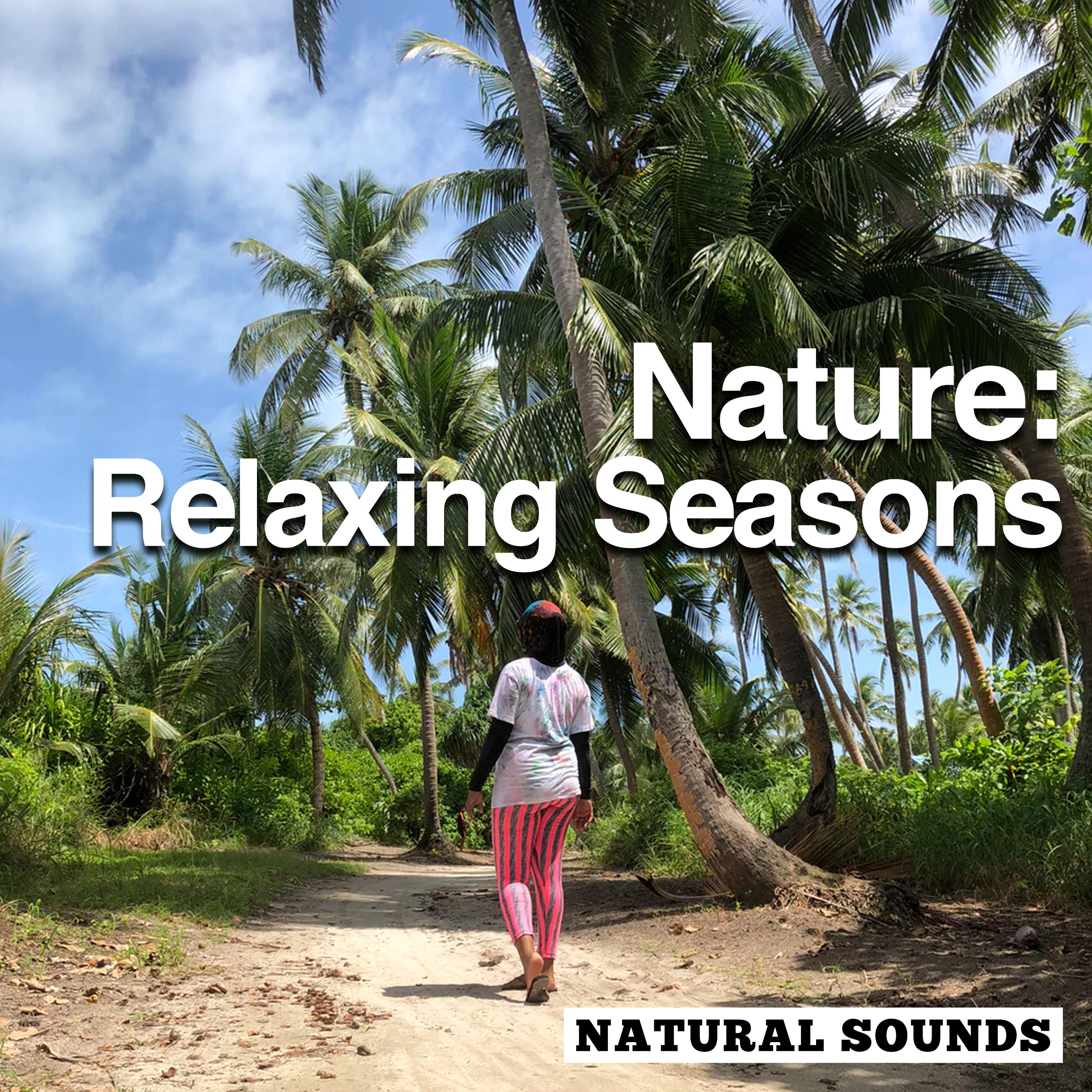 Nature: Relaxing Seasons