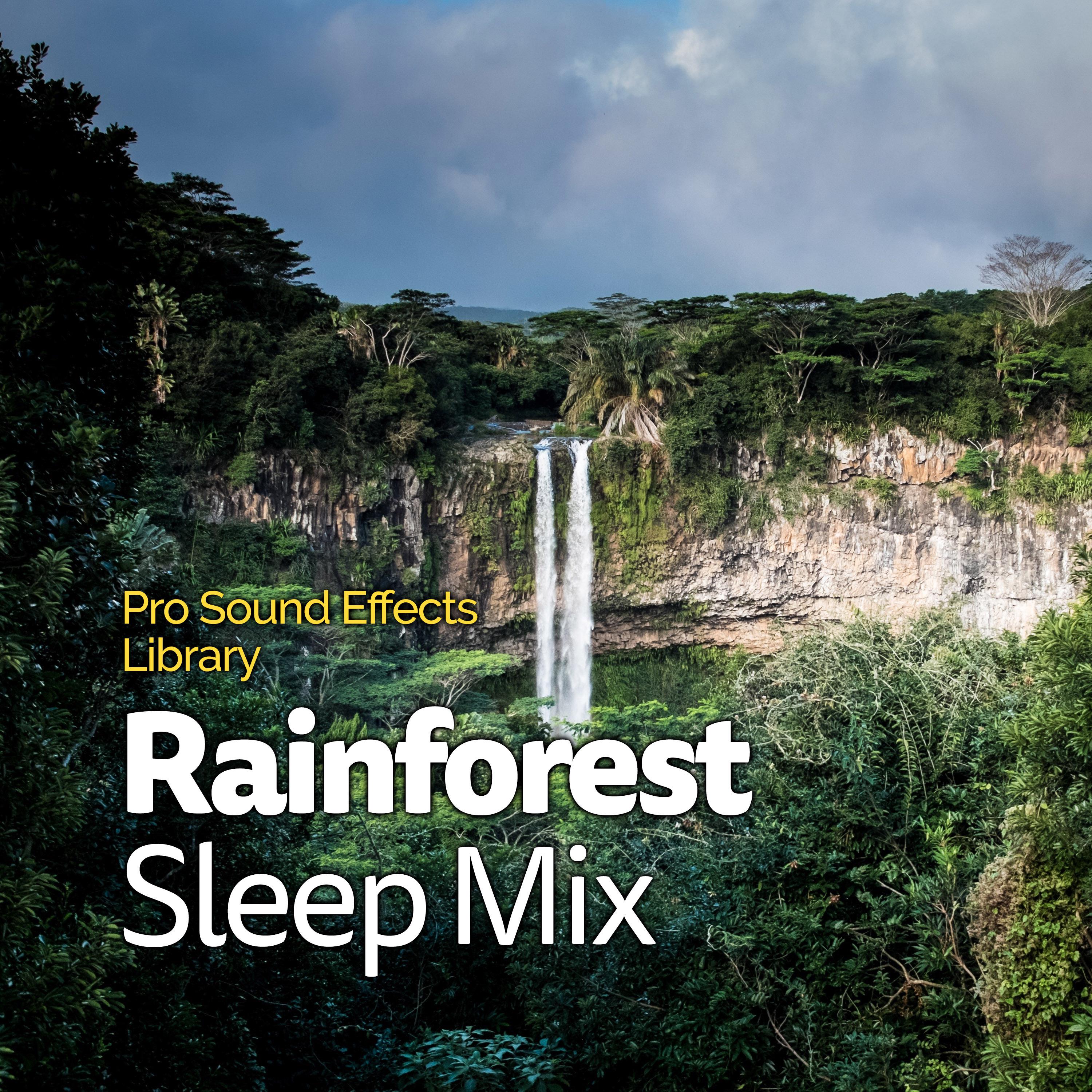 Rainforest Sleep Mix