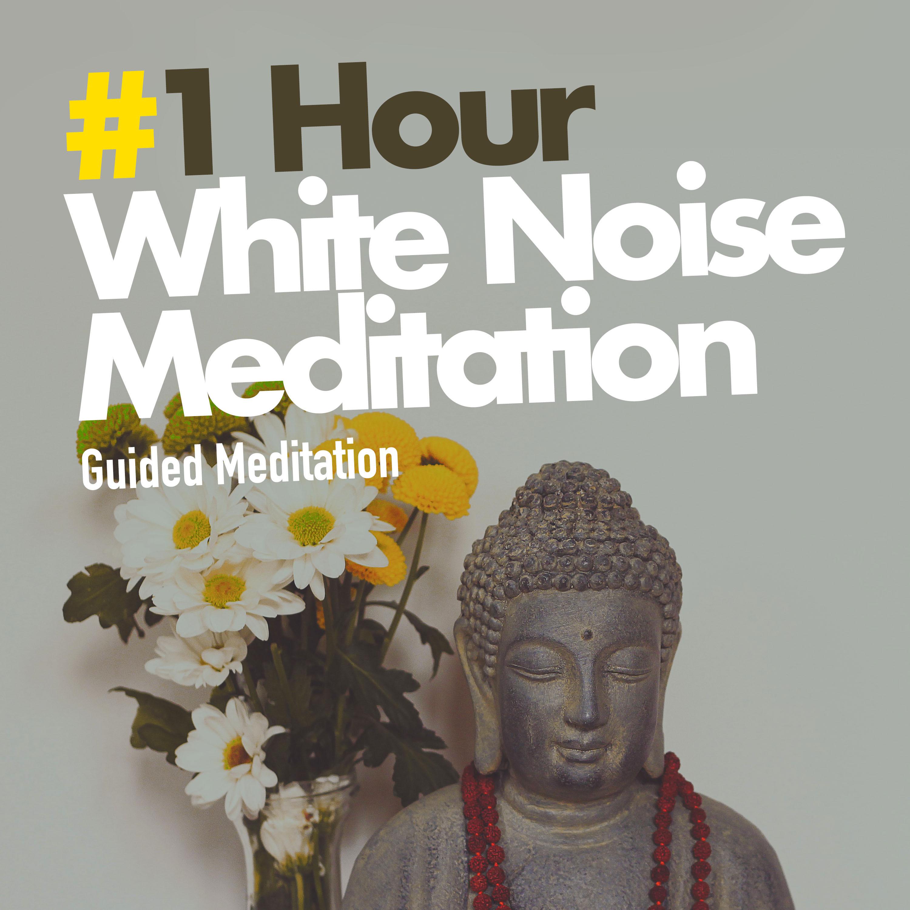 #1 Hour White Noise Meditation