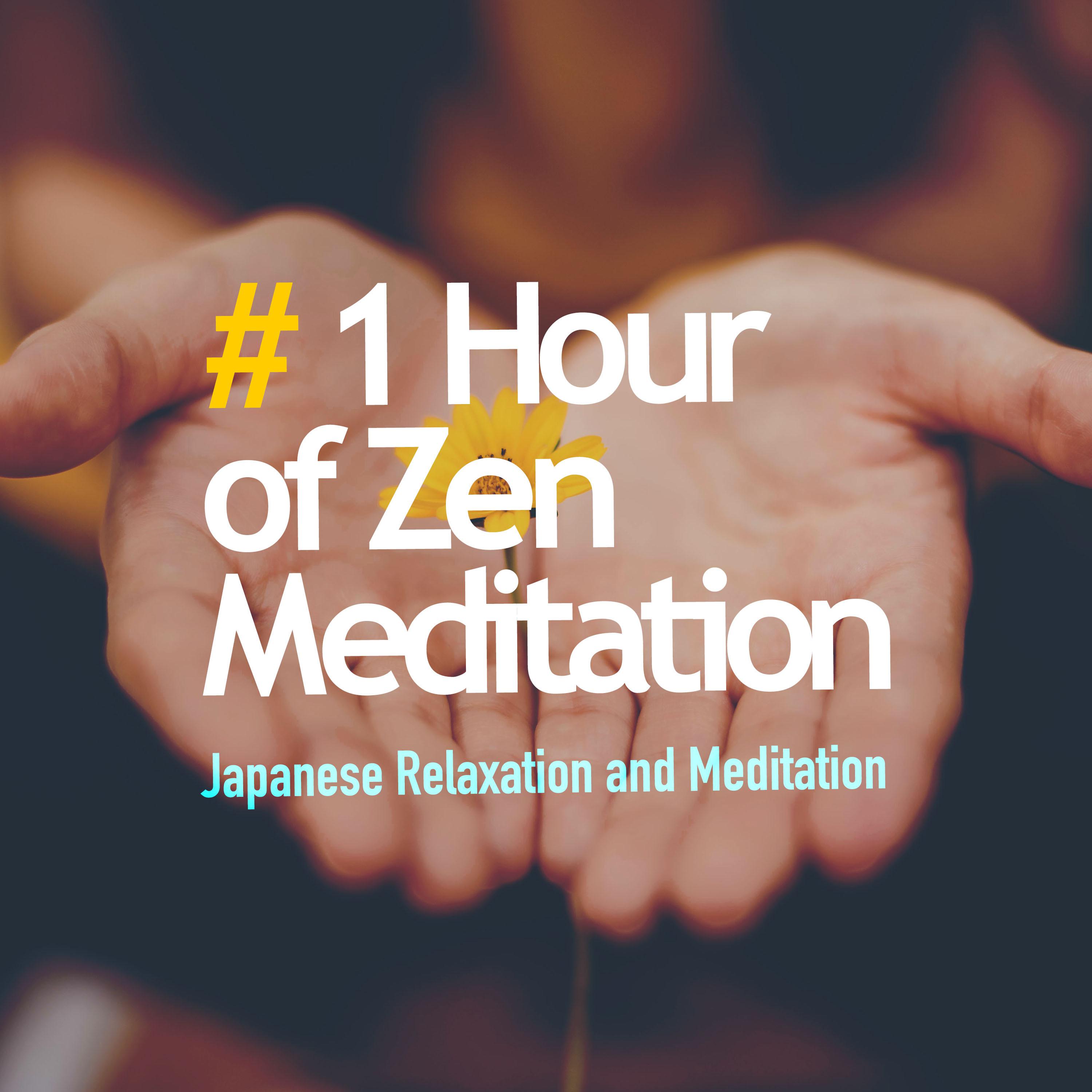 # 1 Hour of Zen Meditation