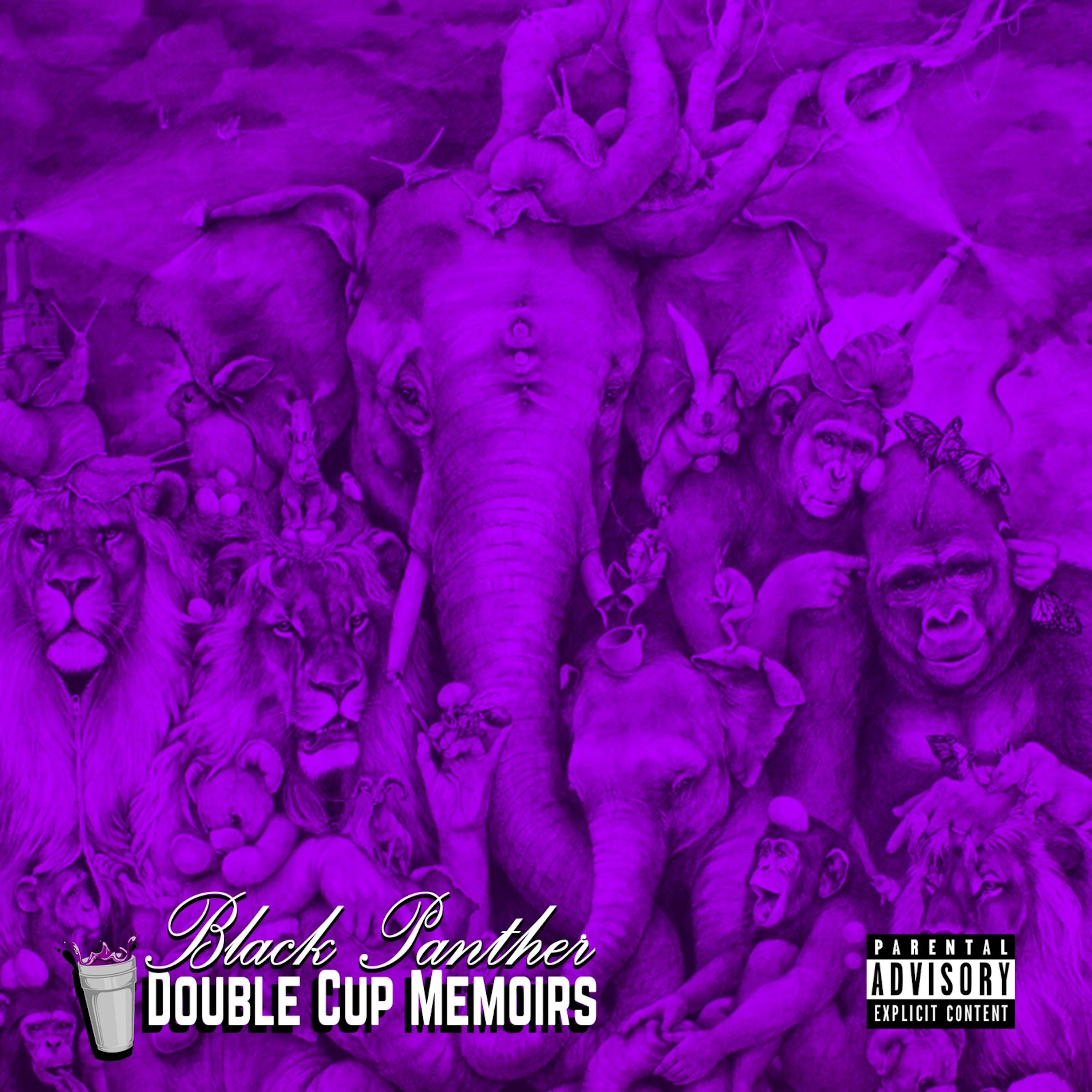 Double Cup Memoirs Instrumentals