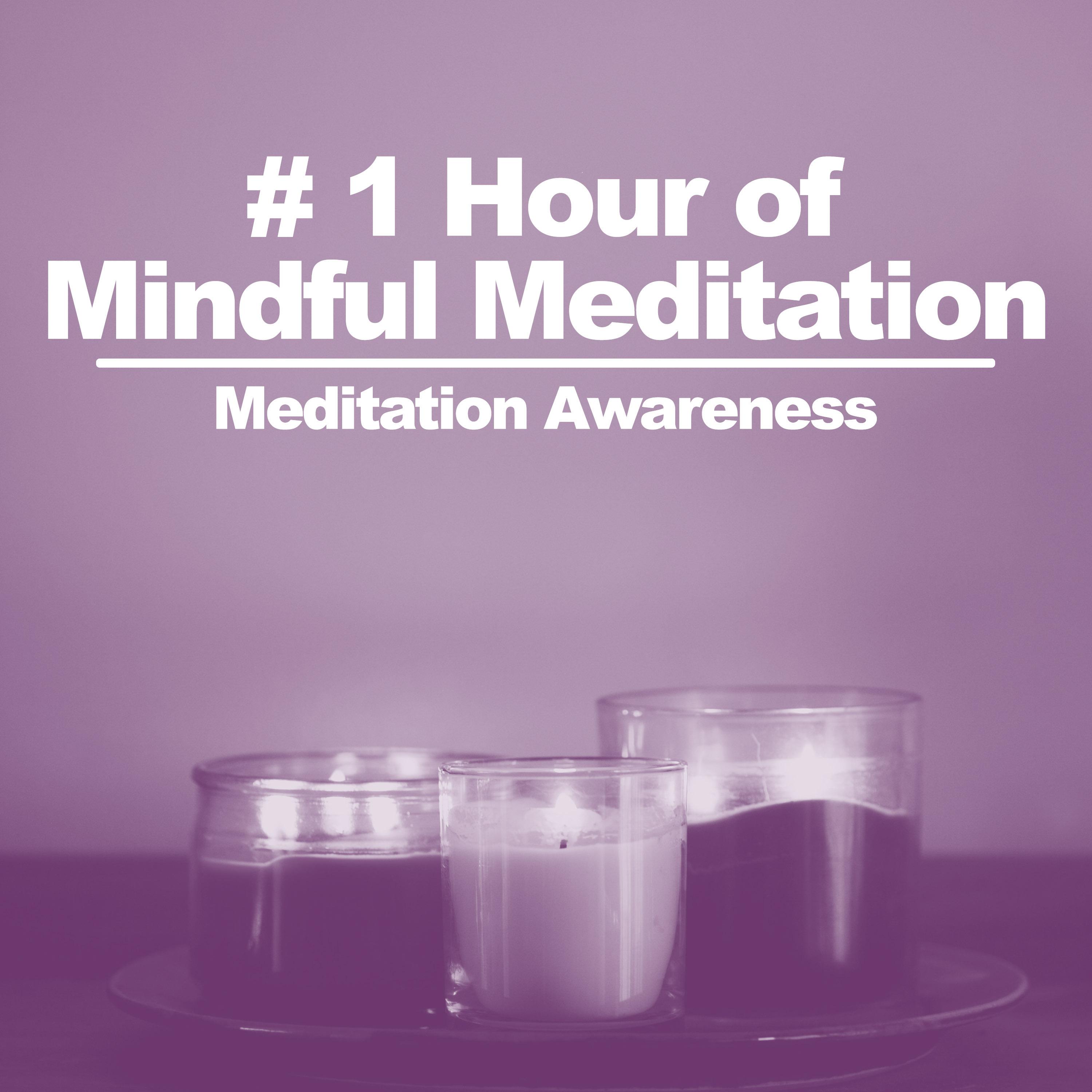 # 1 Hour of Mindful Meditation