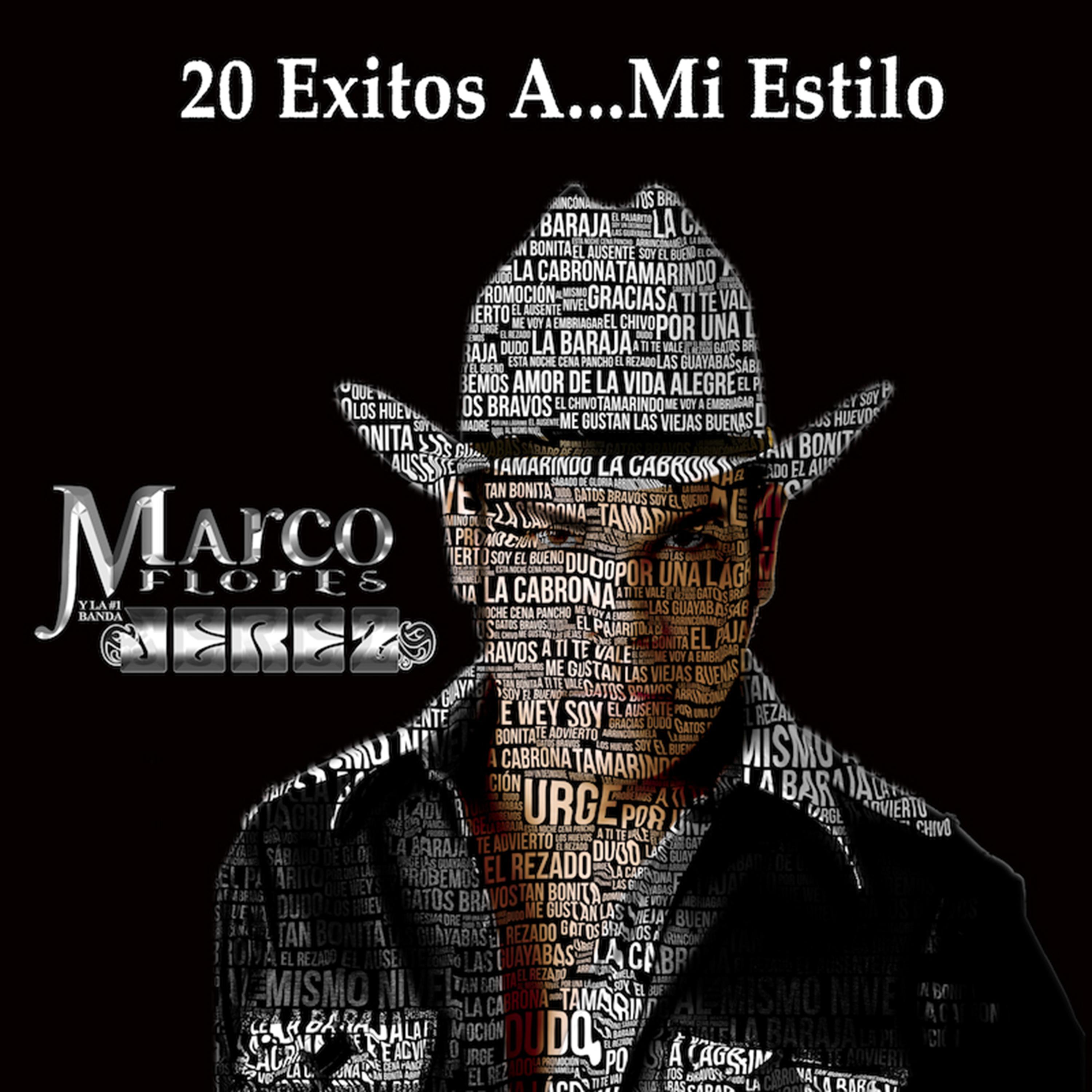 20 Exitos a Mi Estilo