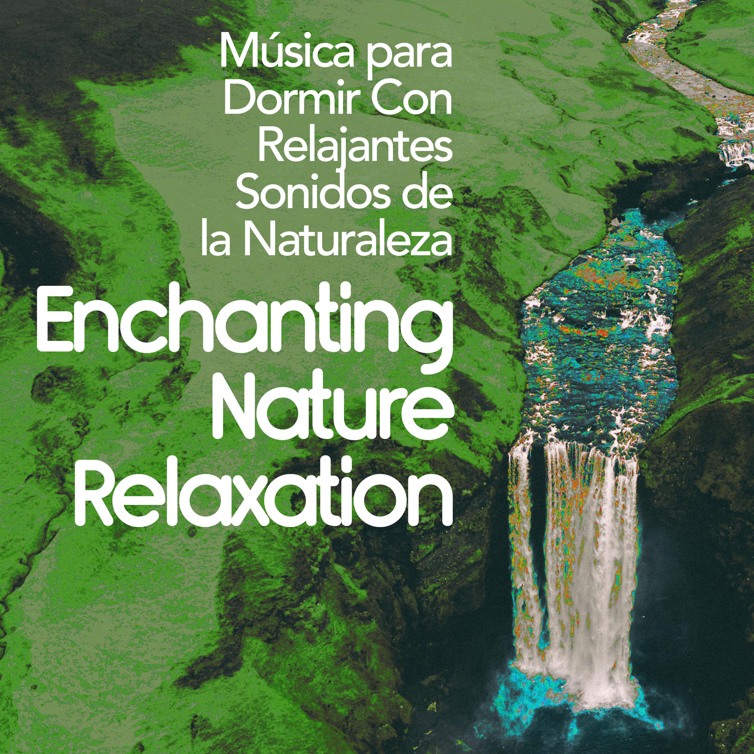 Enchanting Nature Relaxation