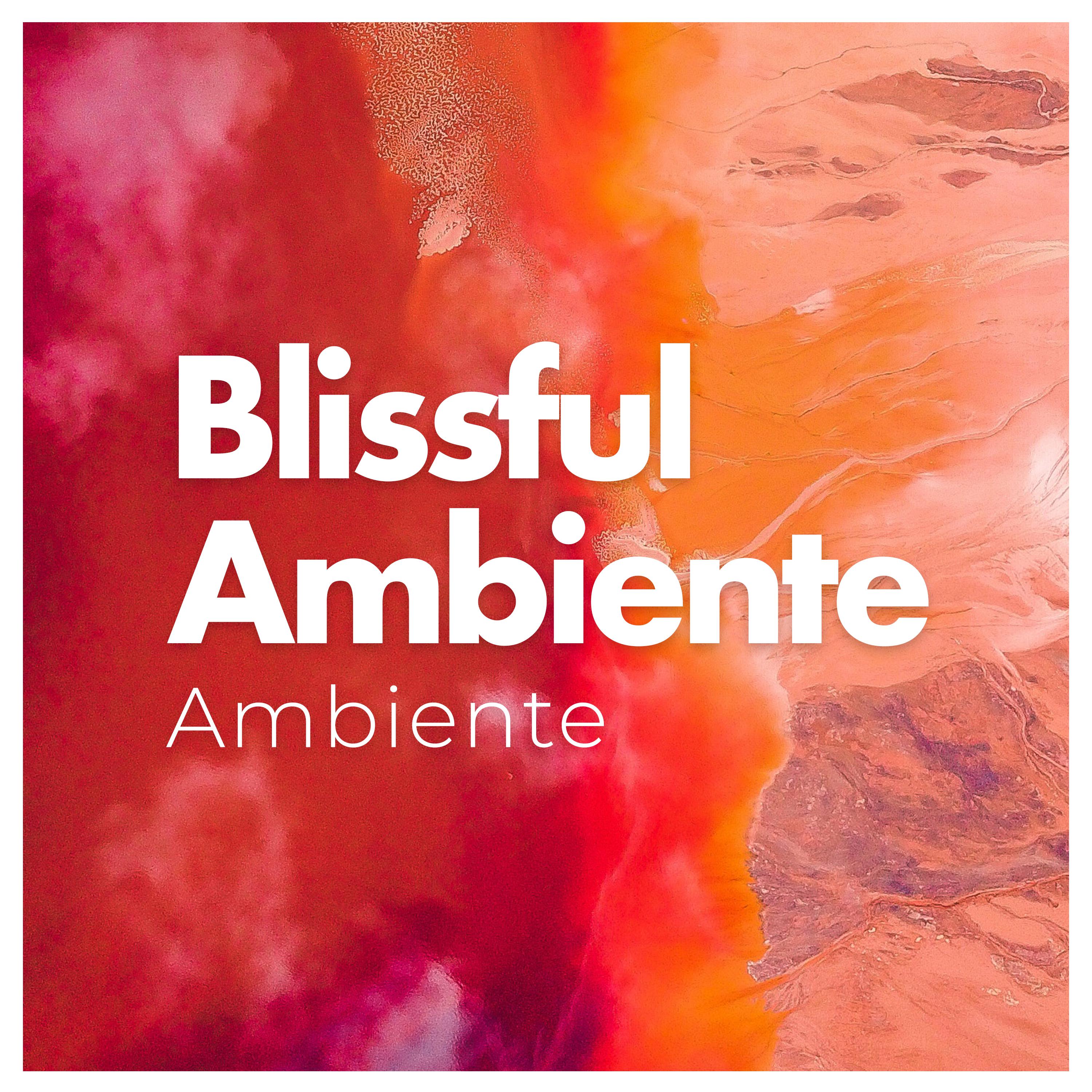 Blissful Ambiente