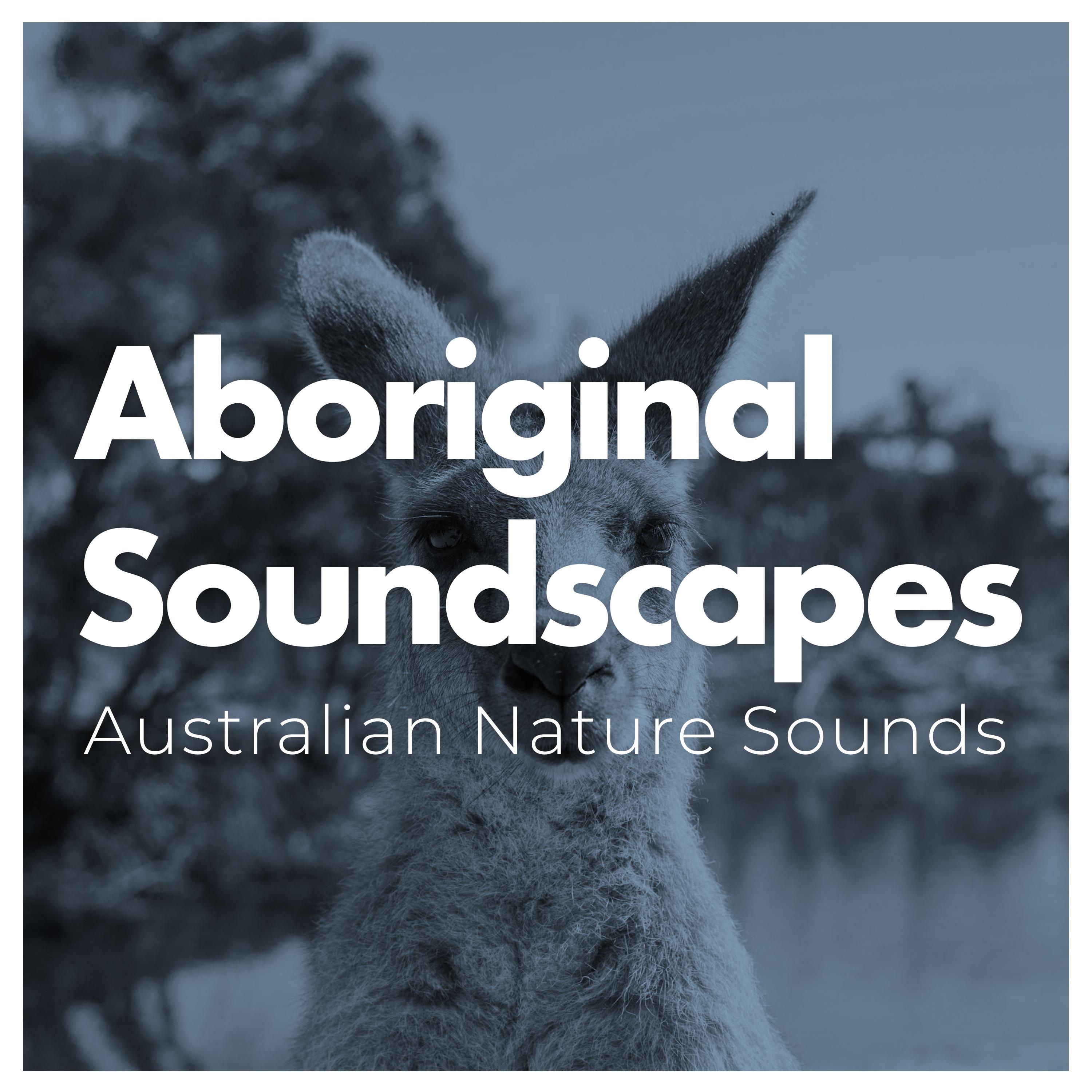 Aboriginal Soundscapes